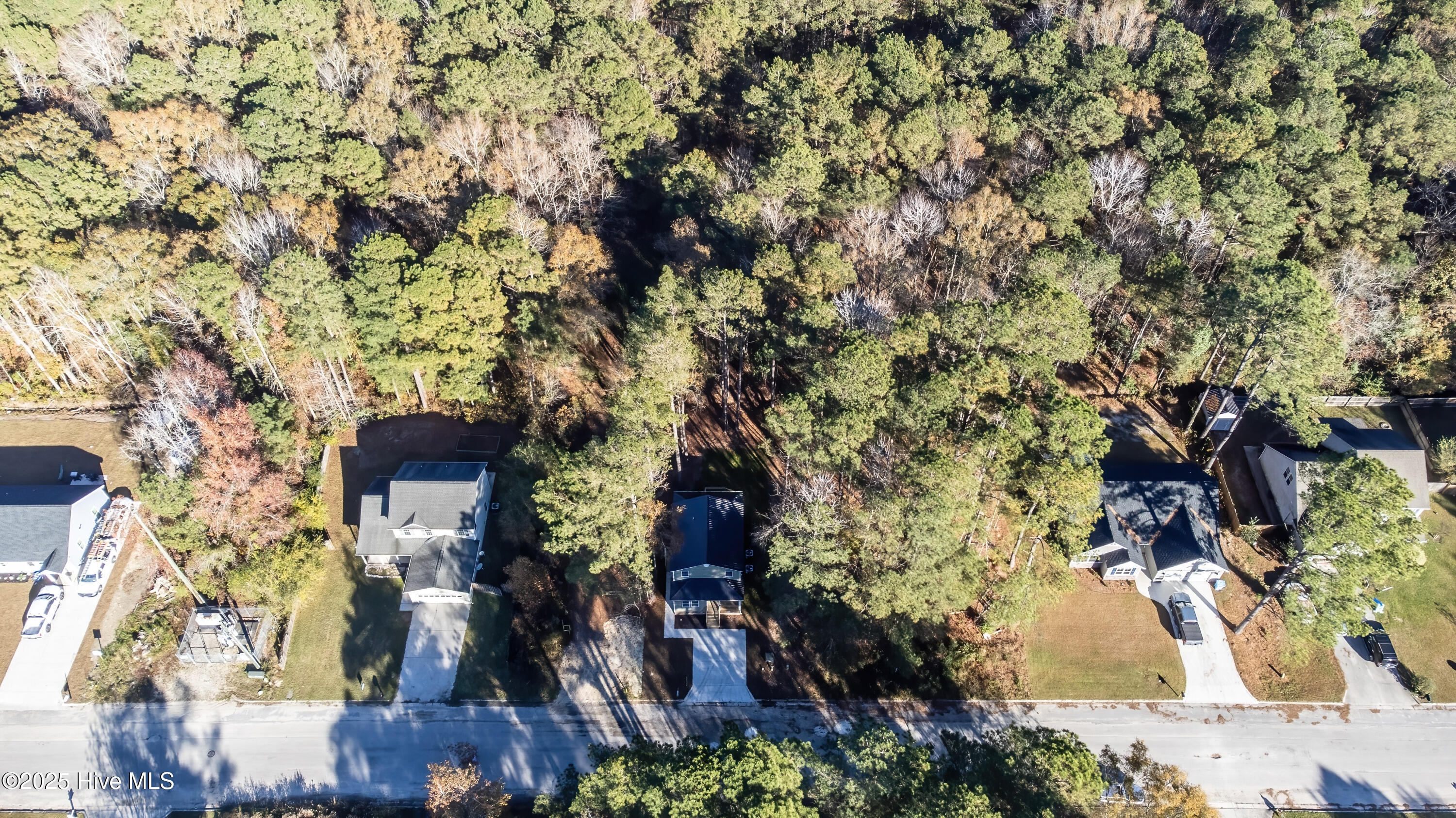 100538278 | Photo 47