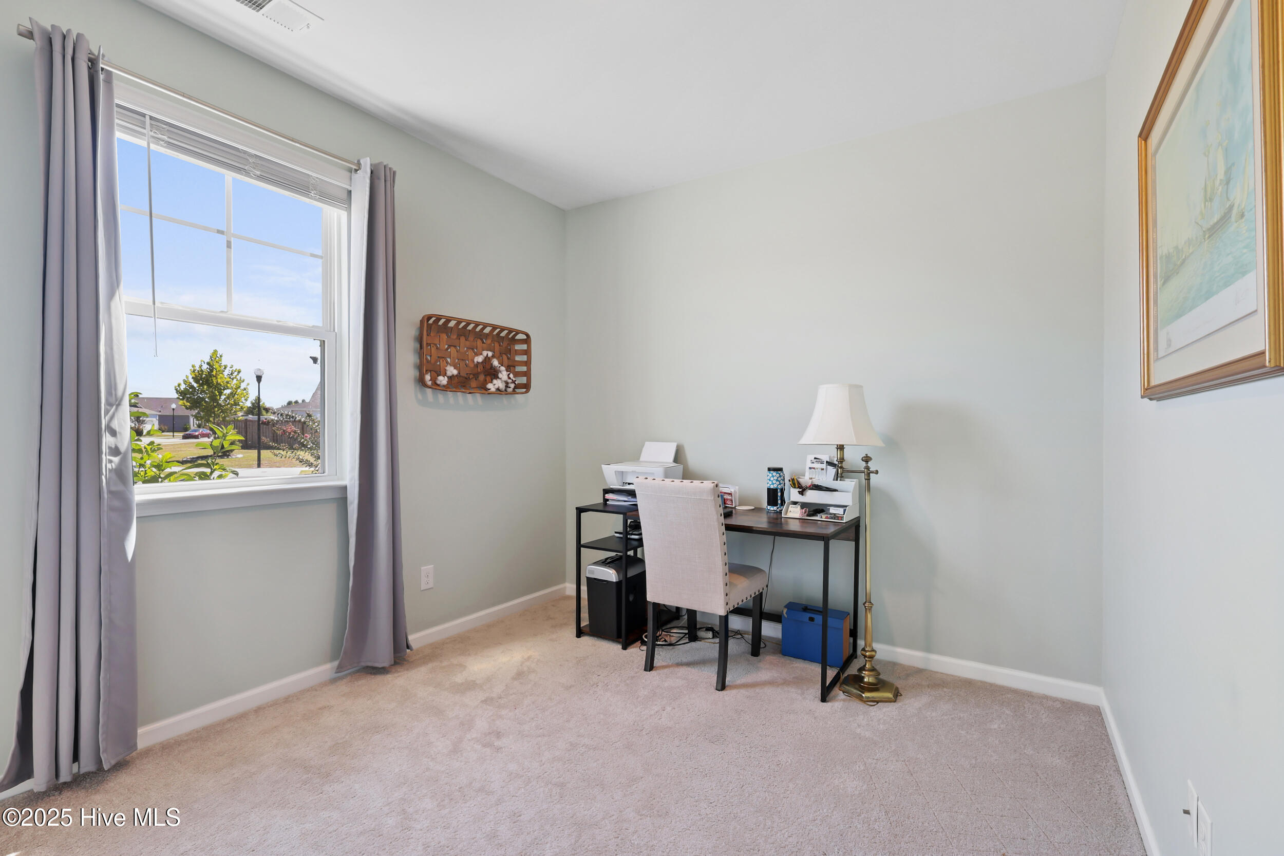 100529036 | Photo 17