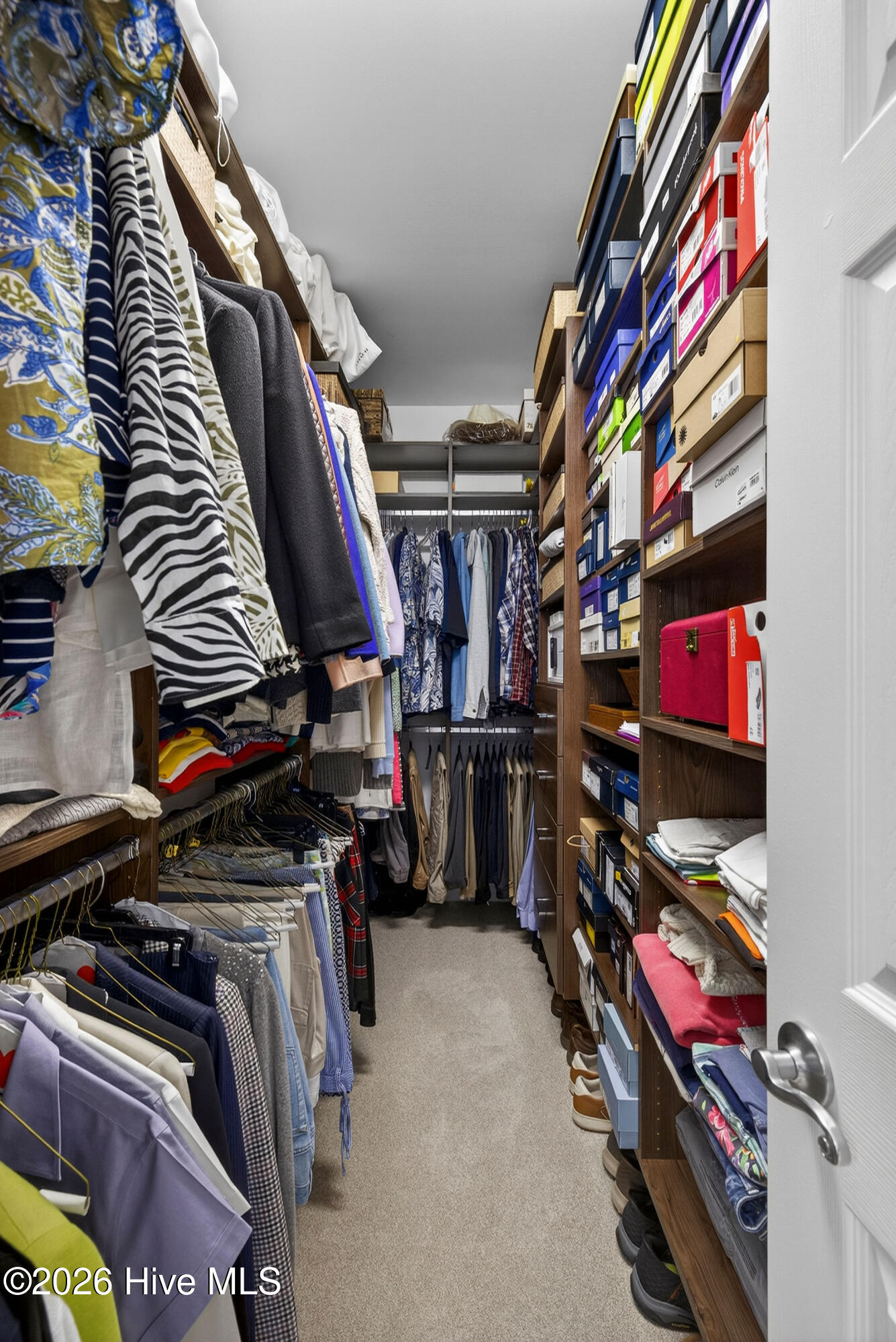 100565648 | Photo 22