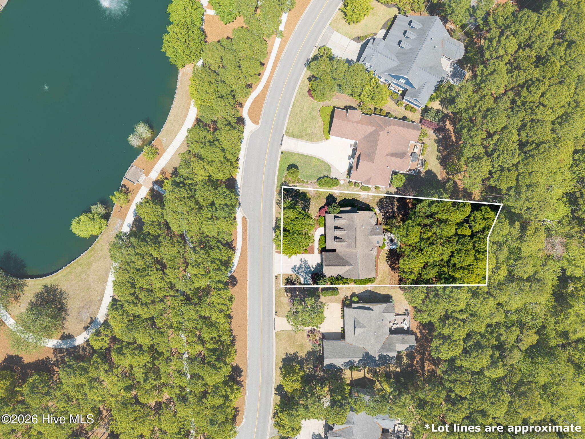 100567899 | Photo 12