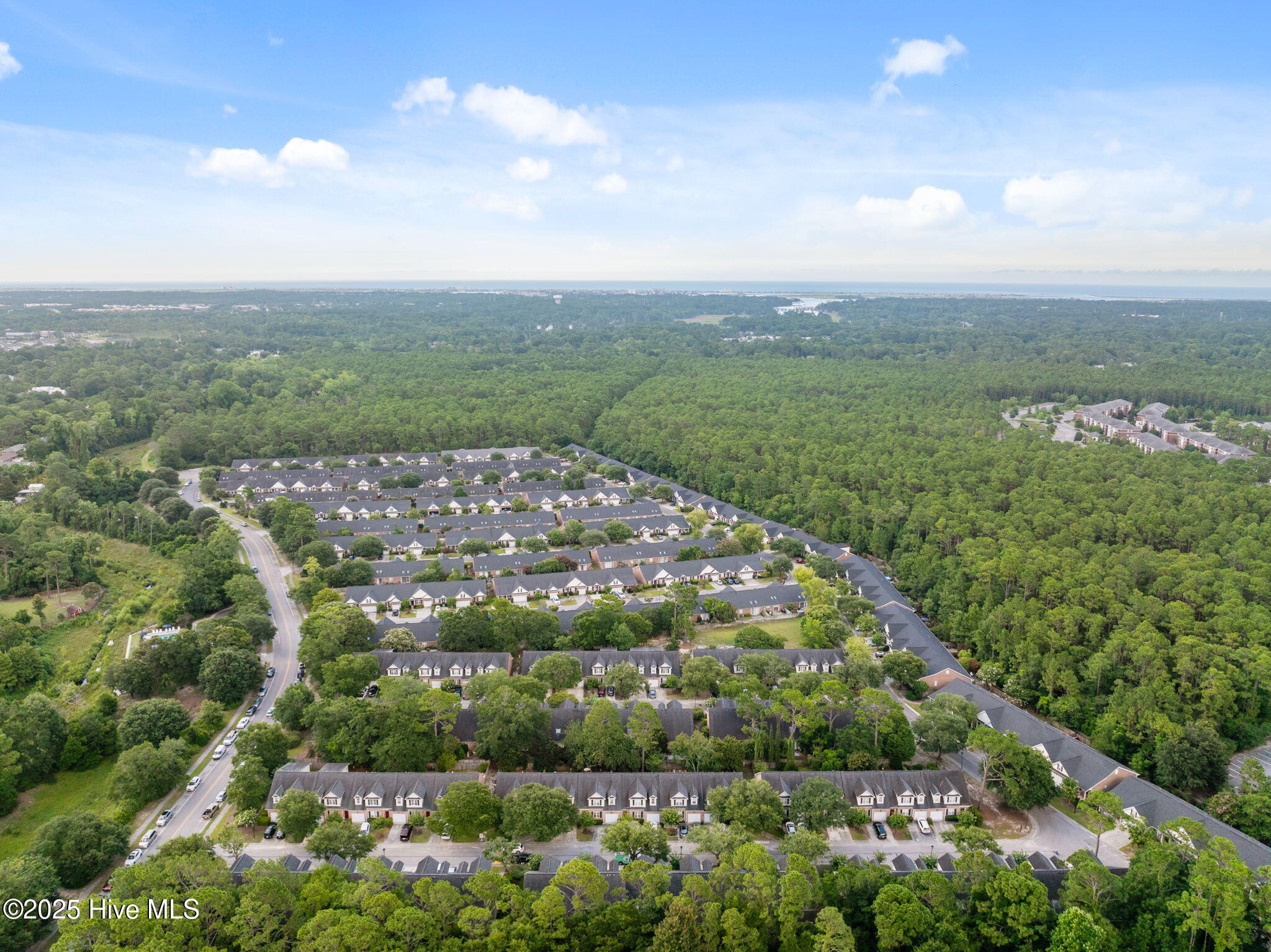 100520913 | Photo 13