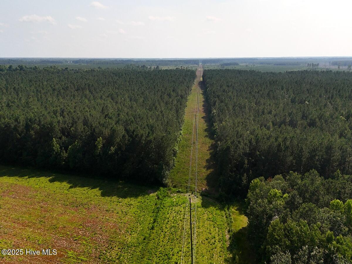 100513588 | Photo 10