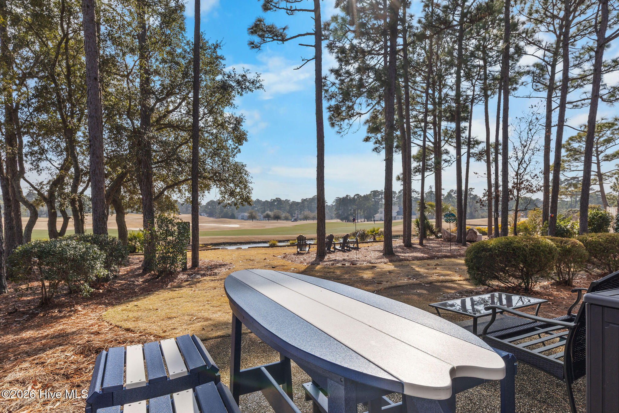 100553597 | Photo 29