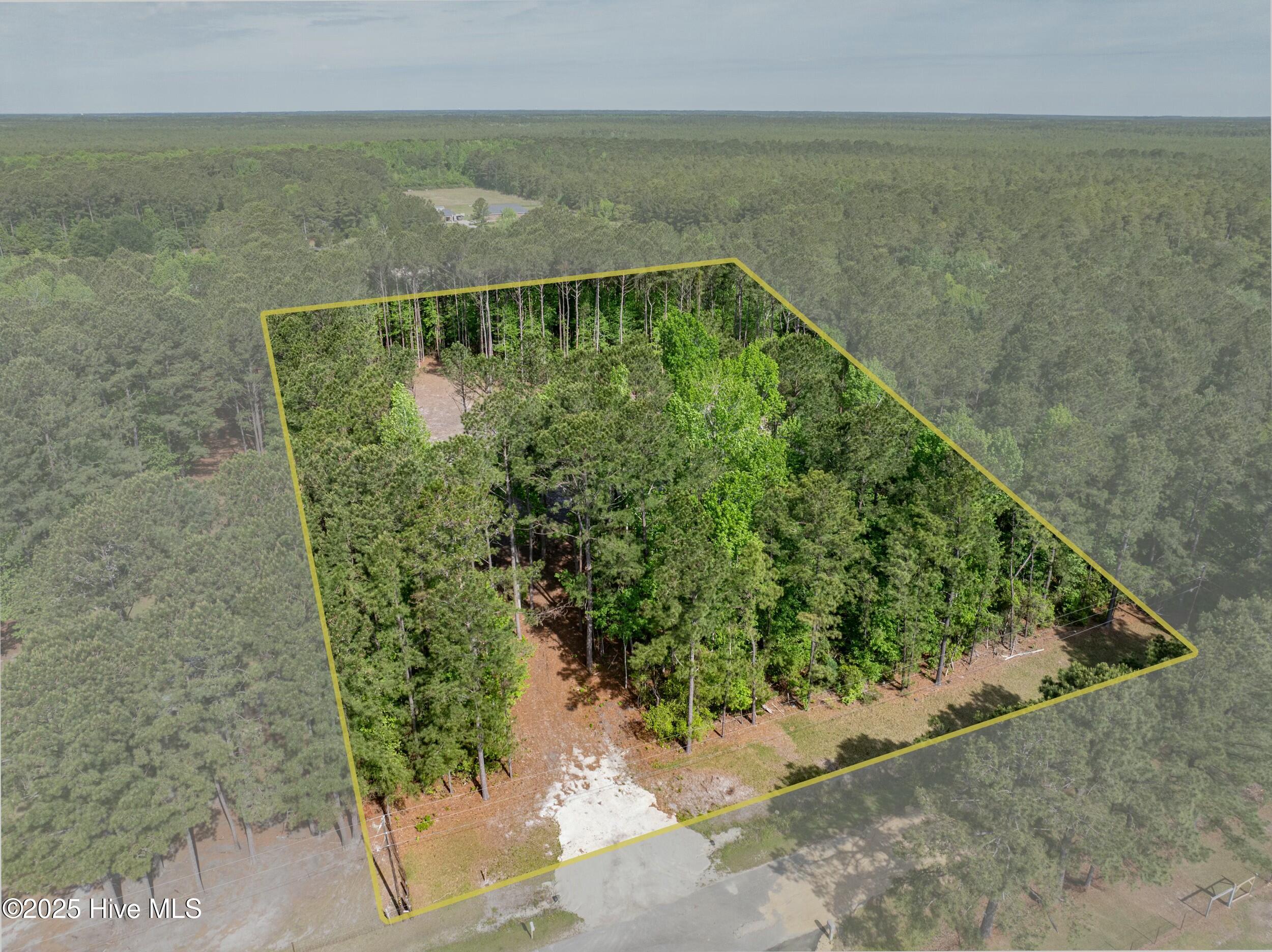 100503919 | Photo 23