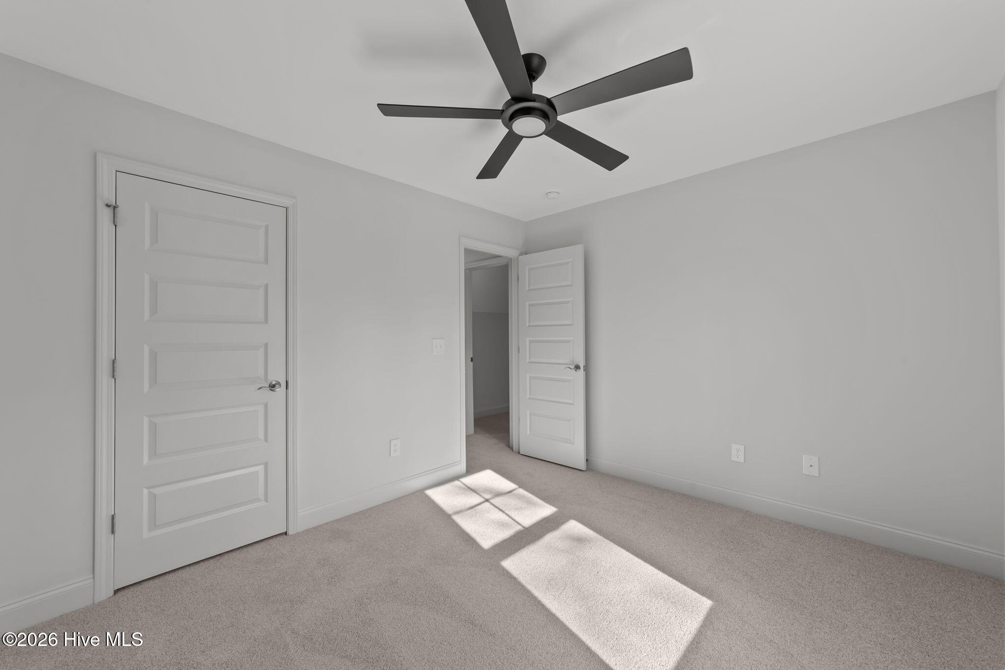 100528698 | Photo 29