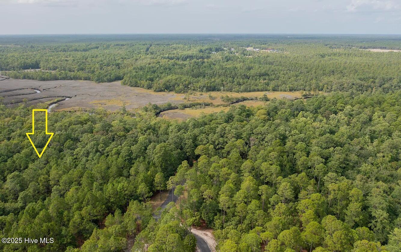 100537919 | Photo 11