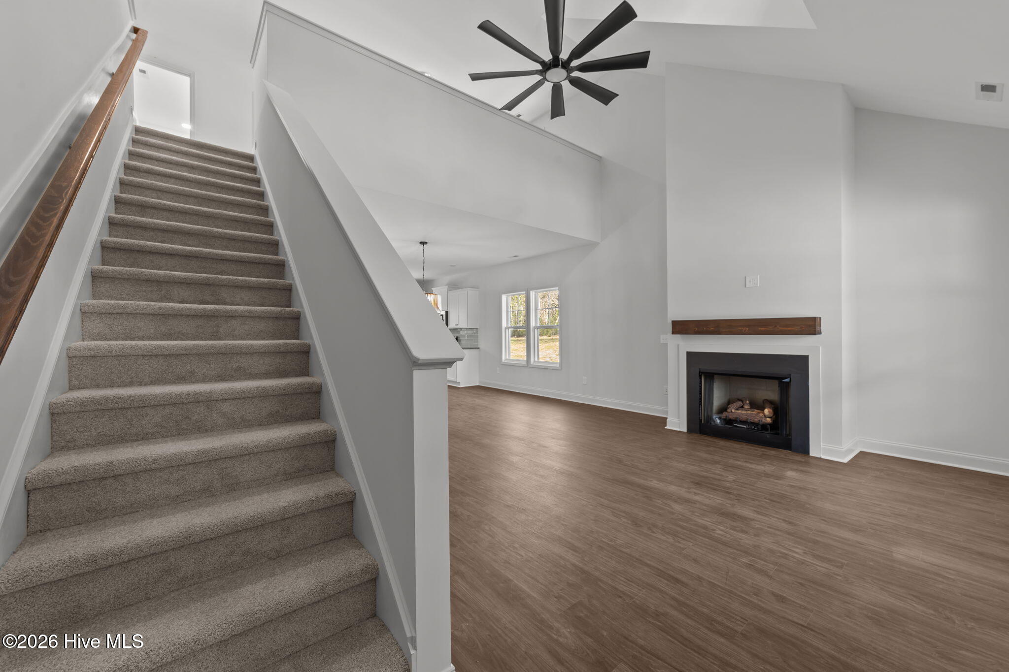 100528698 | Photo 13