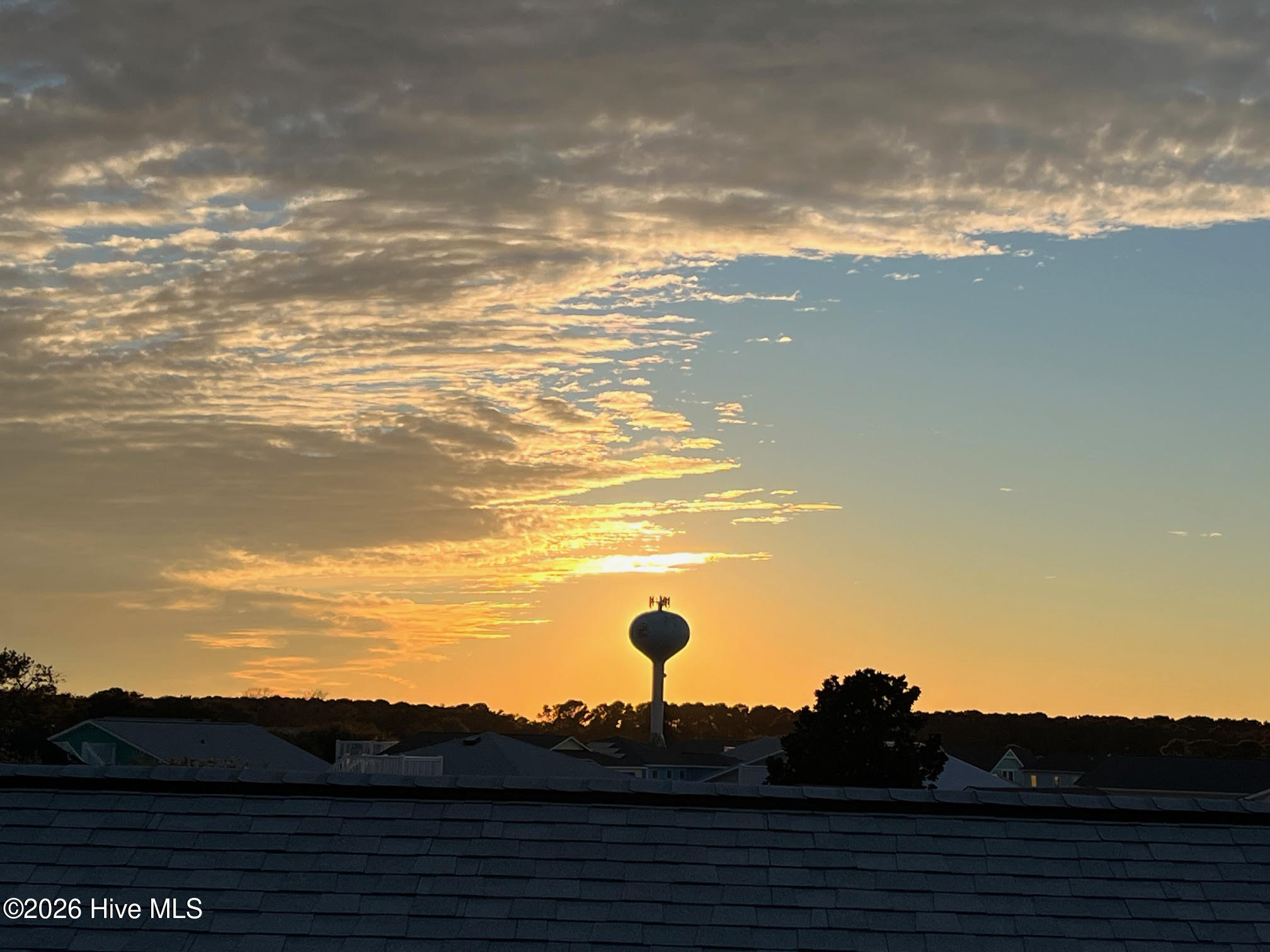 100552893 | Photo 15