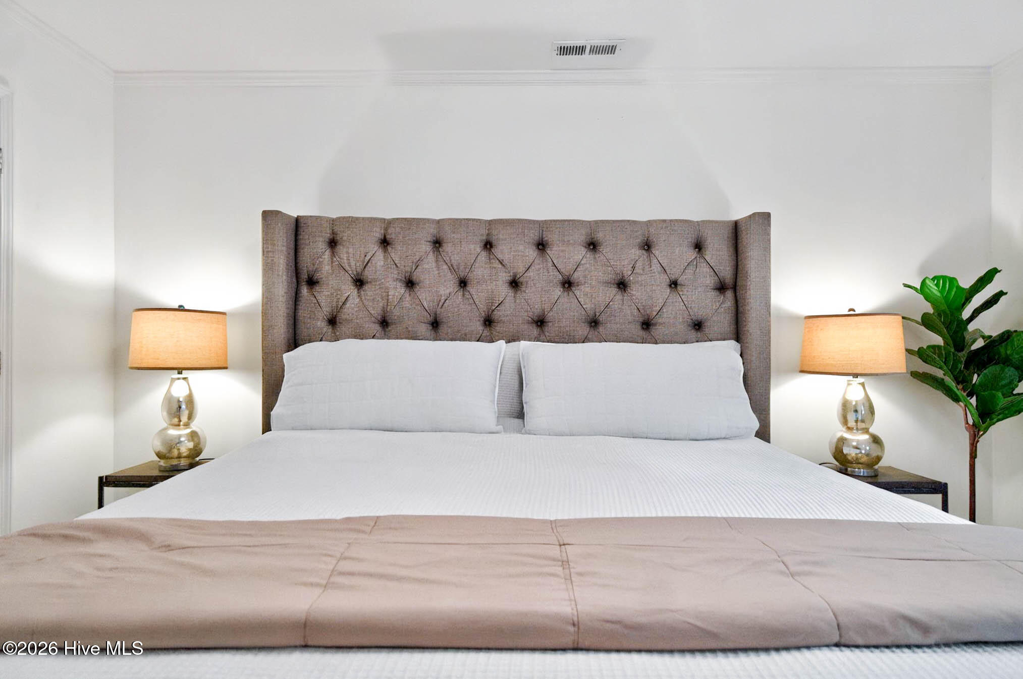 100556049 | Photo 53