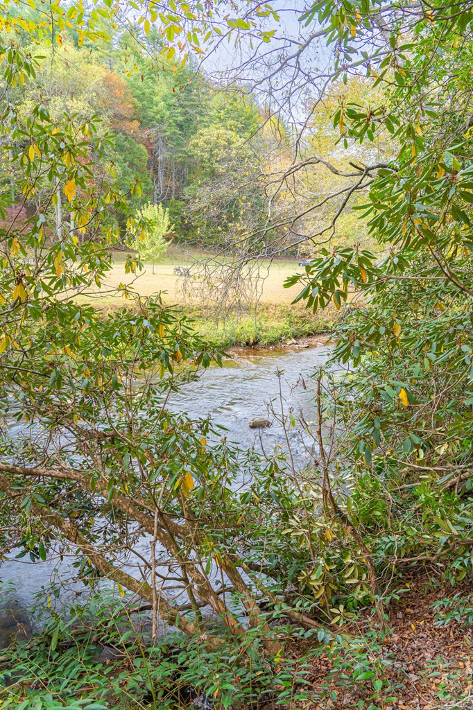 Hanging Dog Creek