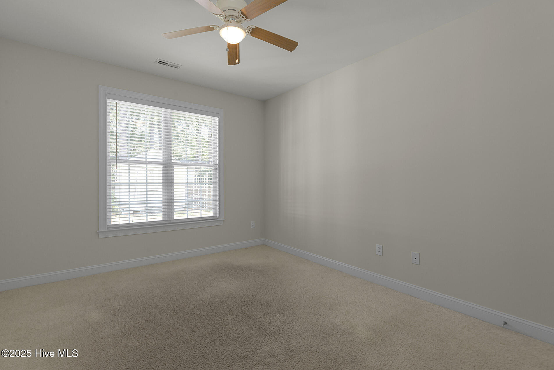 100558223 | Photo 36