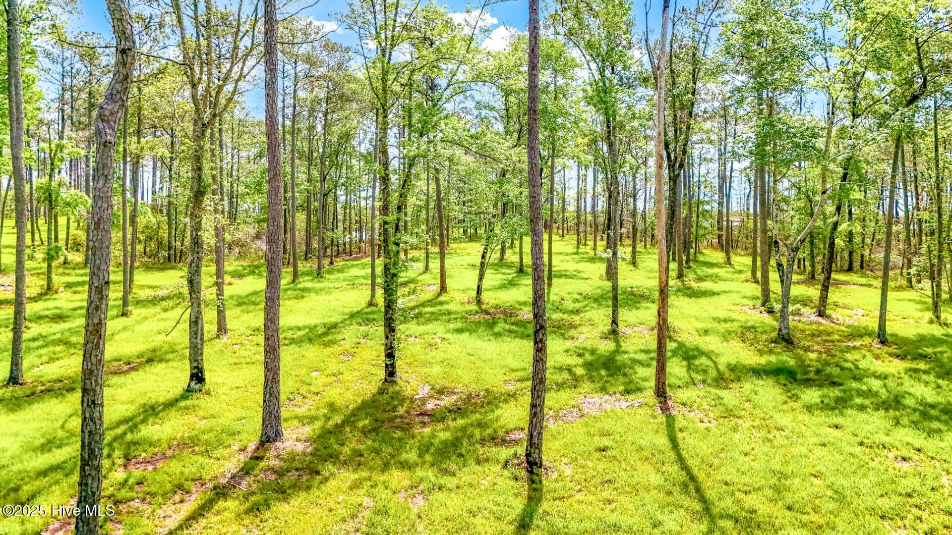 175 River Watch Road, Oriental, NC, 28571