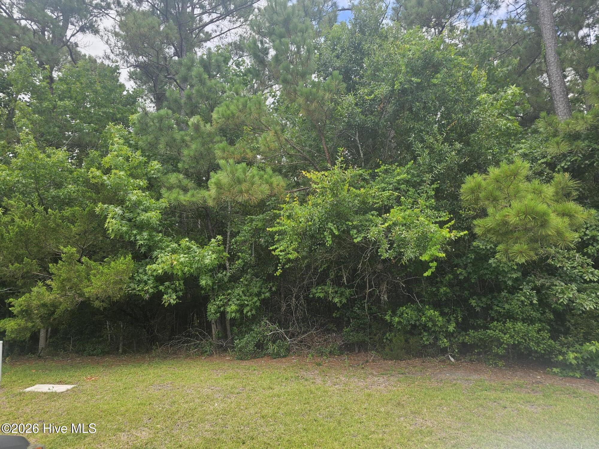 1802 227 Arctic Tern Court,Morehead City