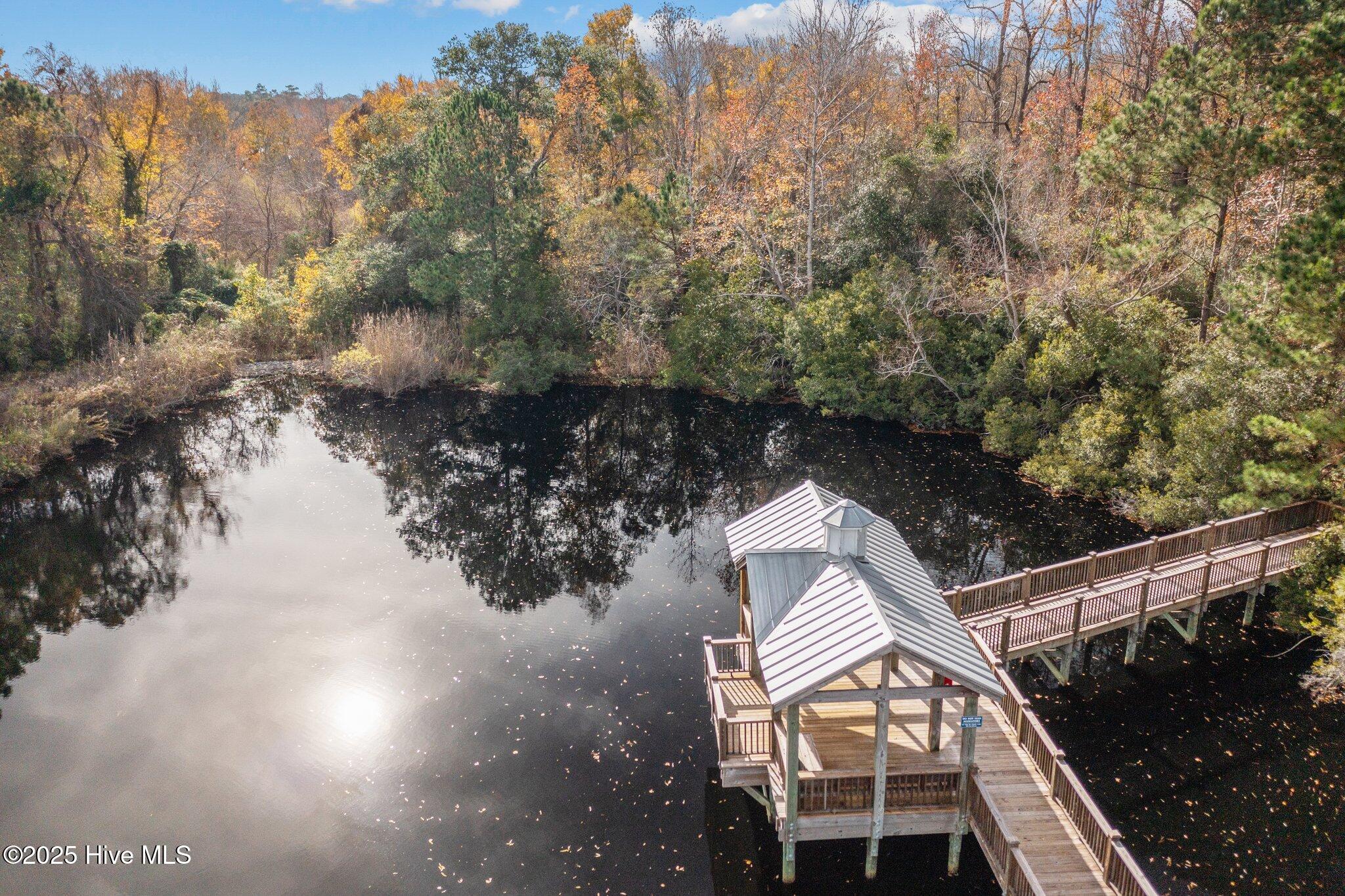 100542732 | Photo 59