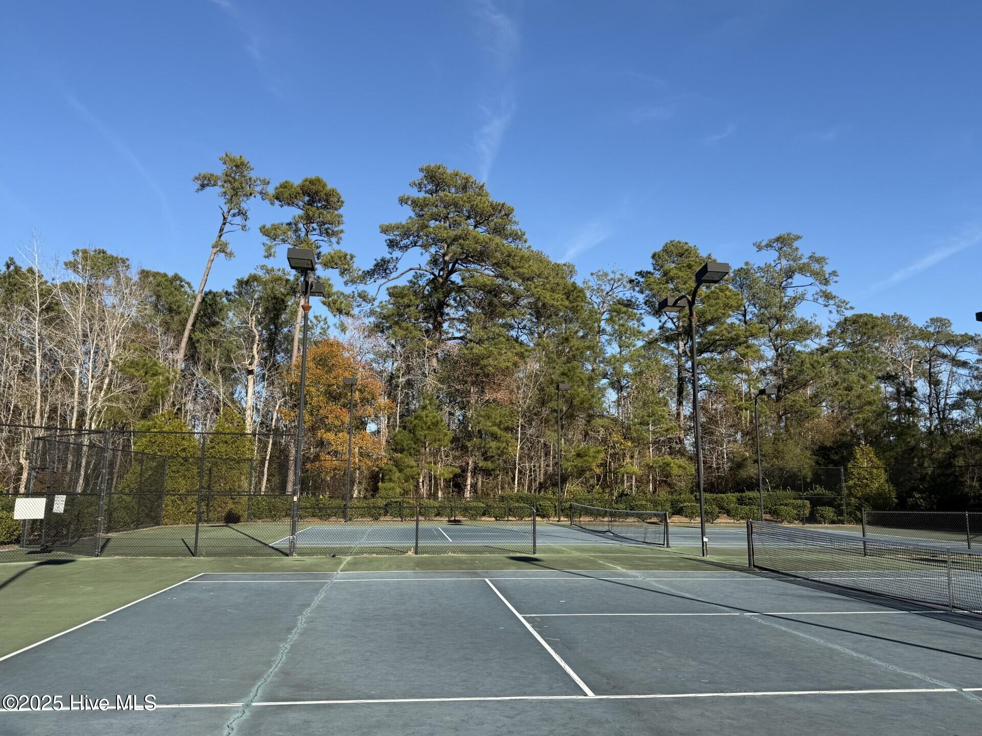 100547071 | Photo 32