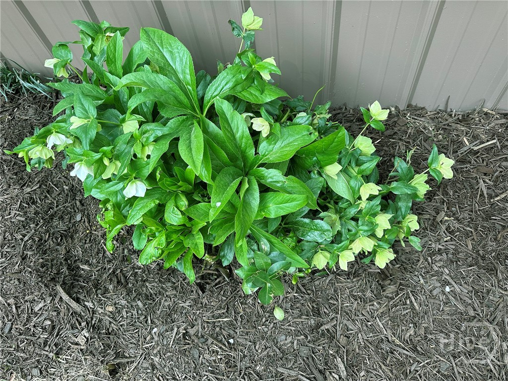 1104 Farm Road, Colbert, GA, 30628