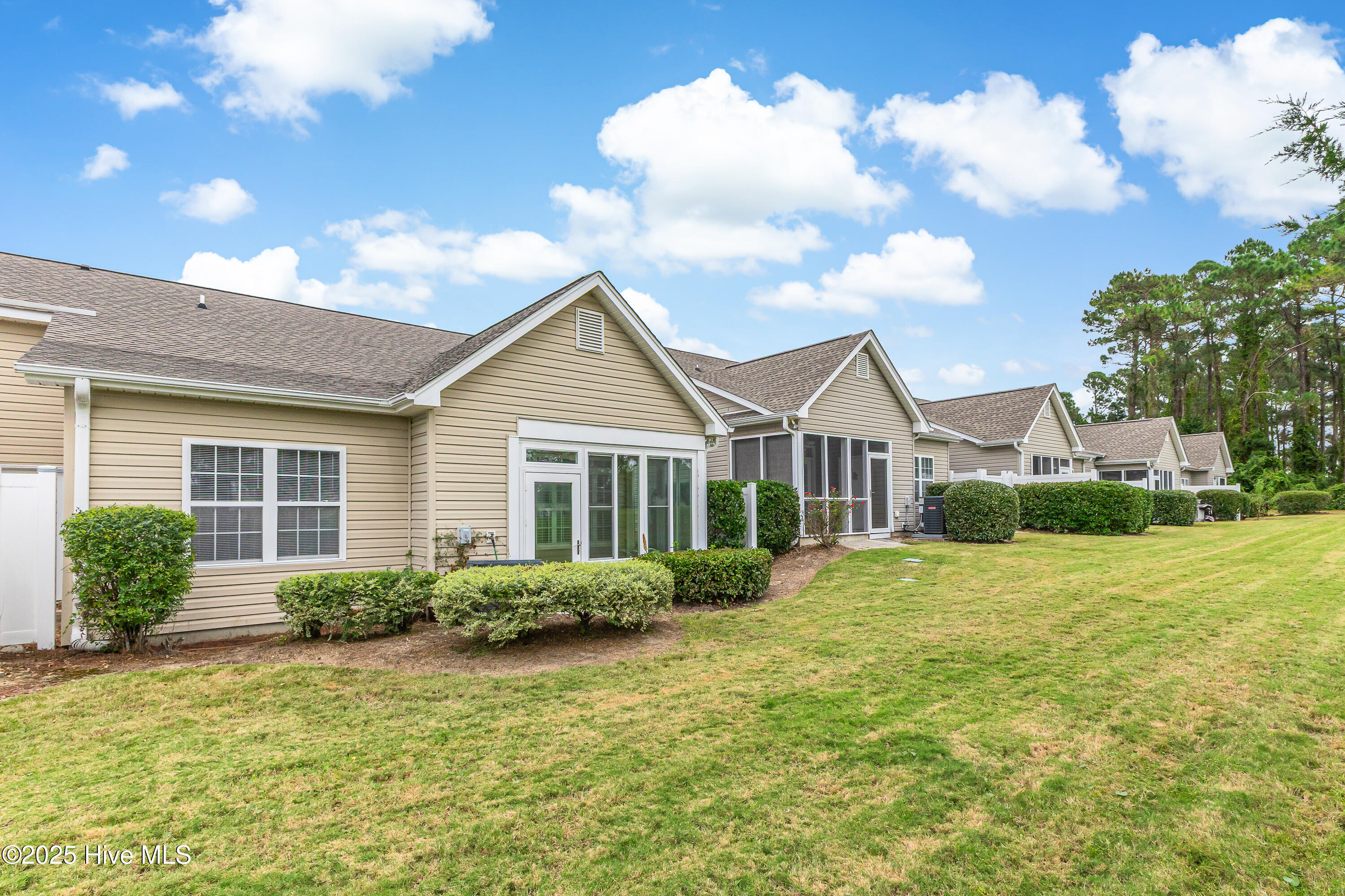 100537164 | Photo 34