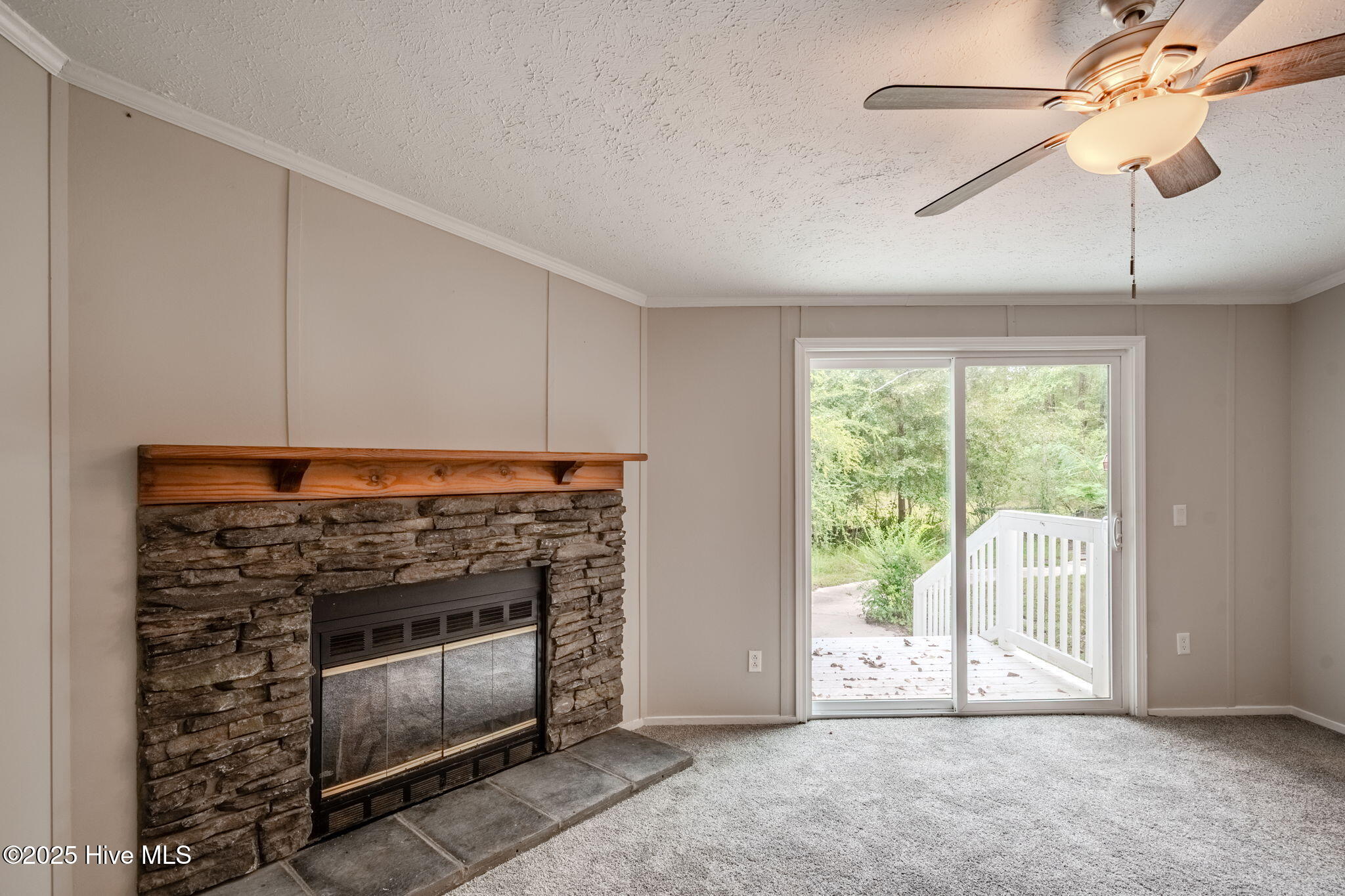 100532331 | Photo 10