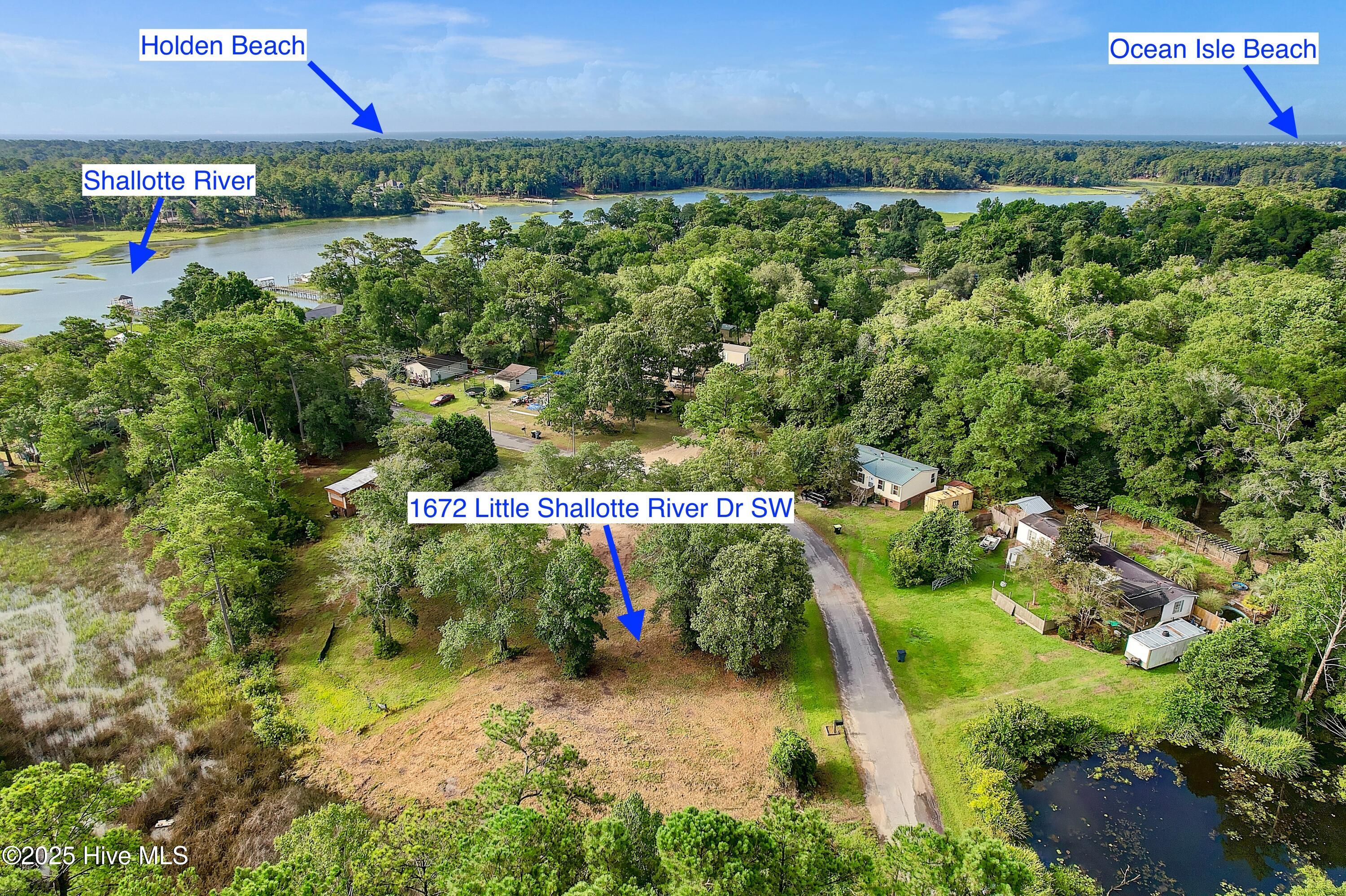 100521467 | Photo 12