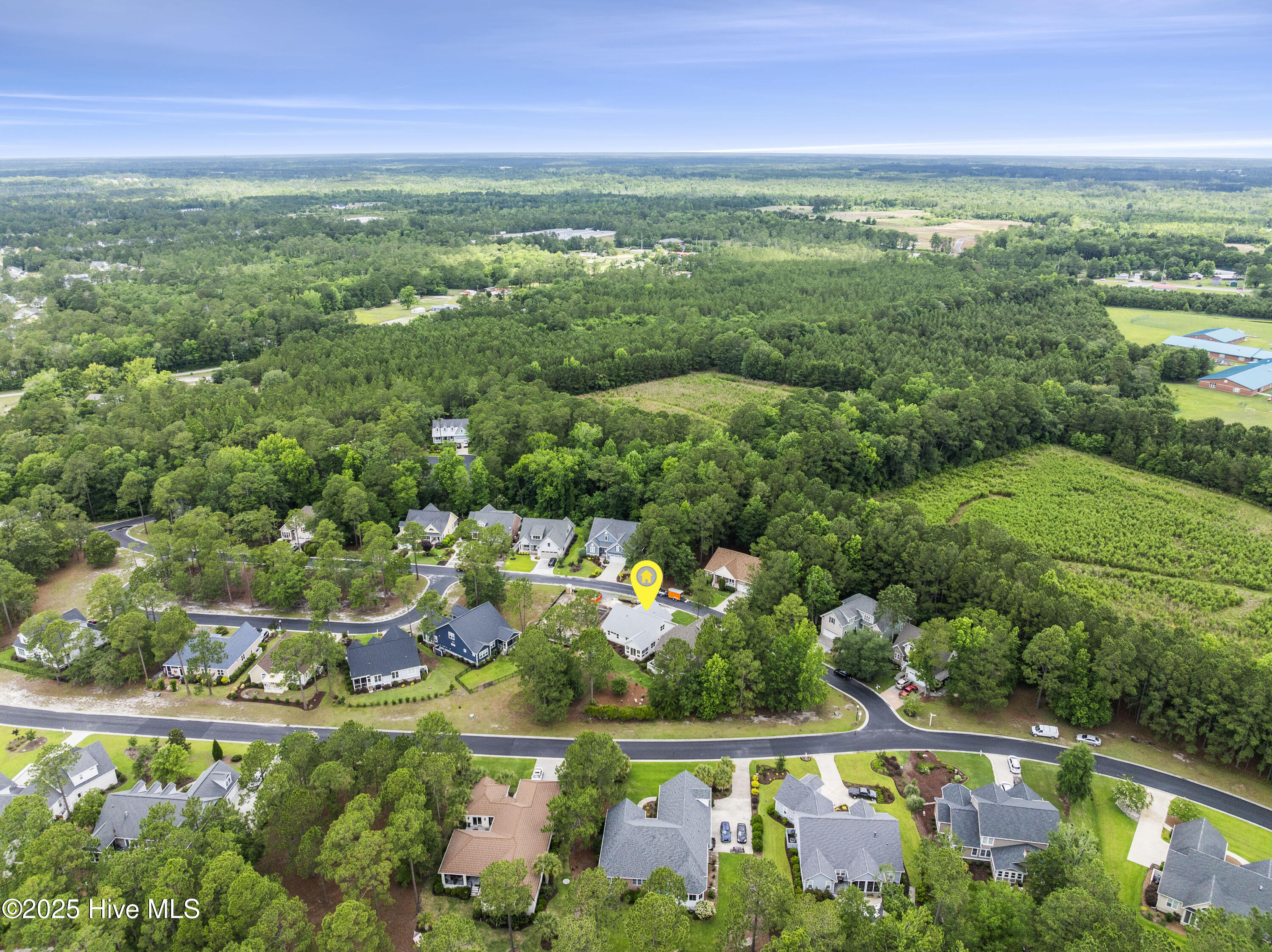 100490321 | Photo 69