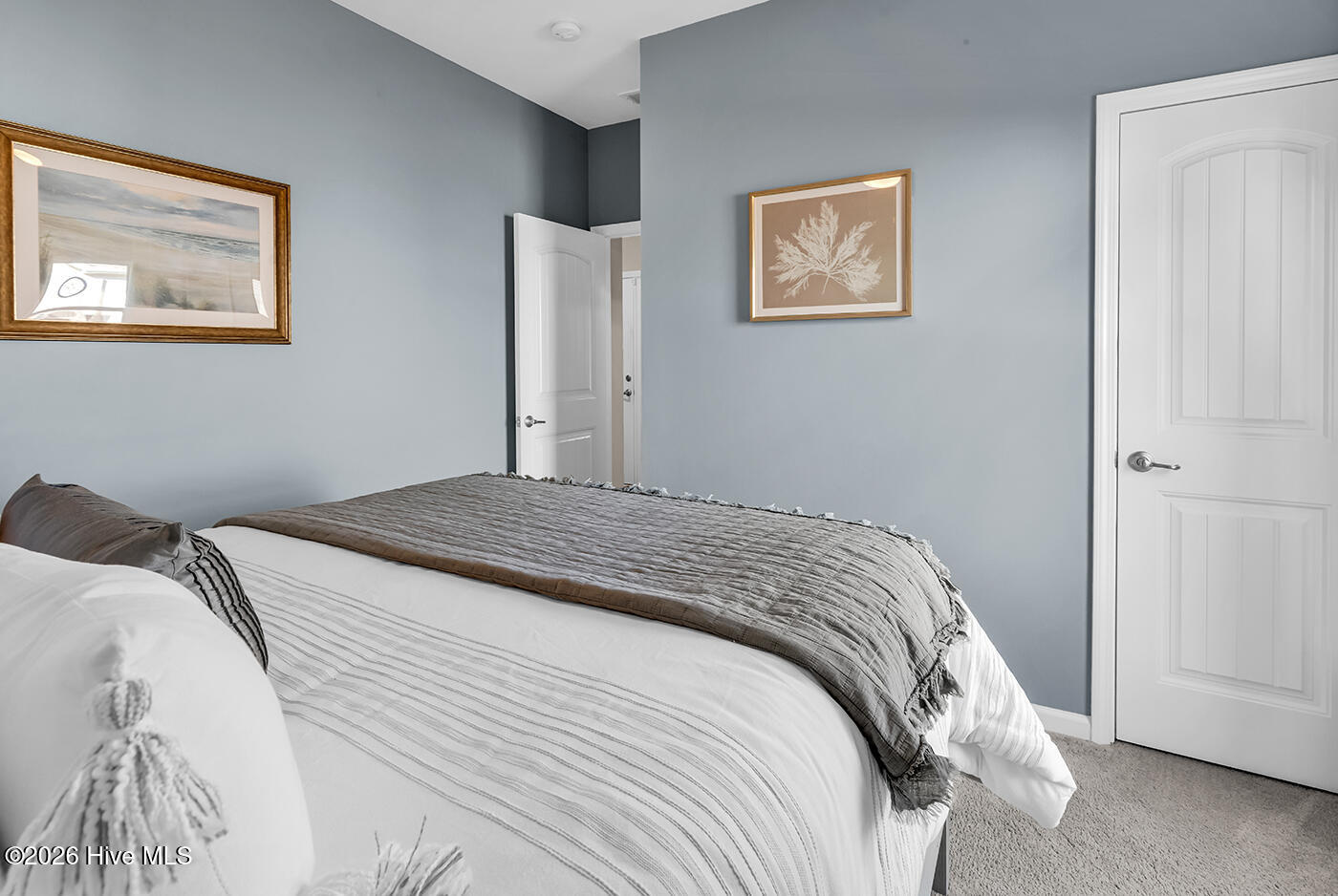 100553360 | Photo 31