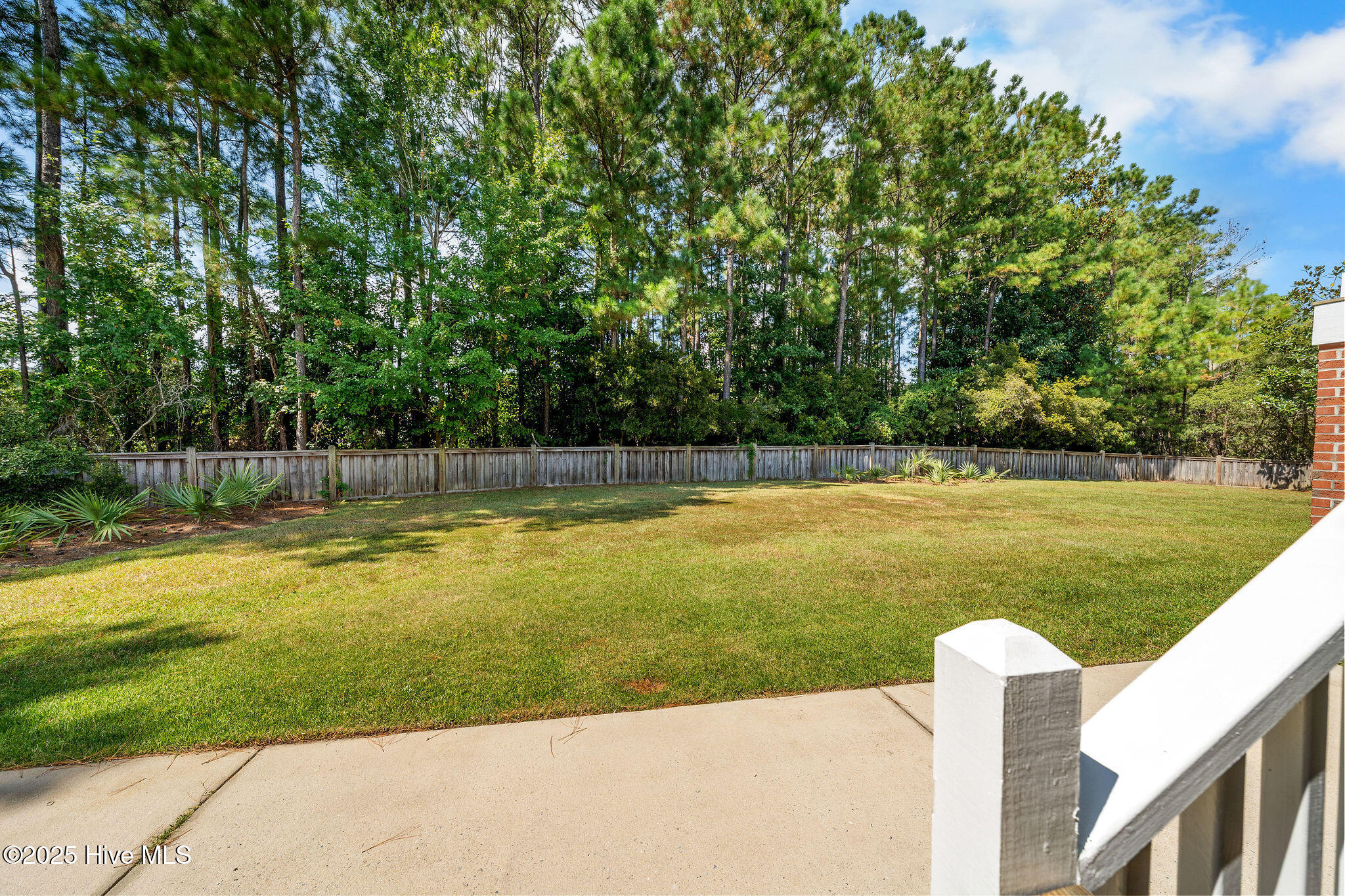 100532416 | Photo 68