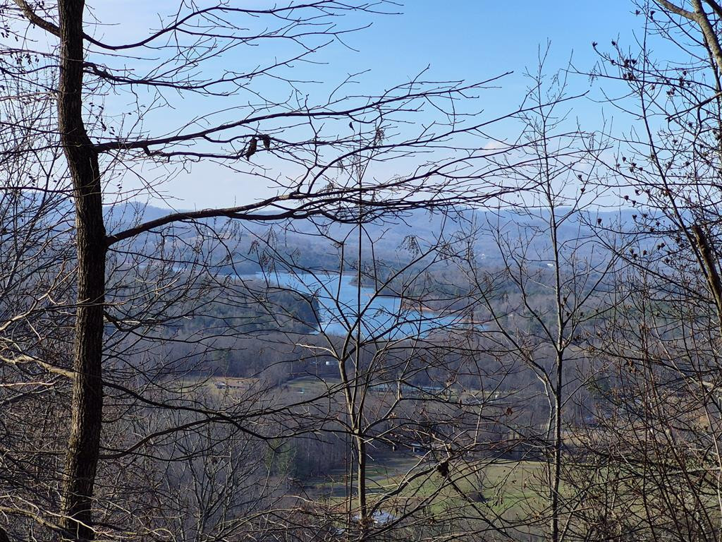 Exterior photo of Lot 62 Dan Knob, Hayesville, NC 28904. MLS: 98524735