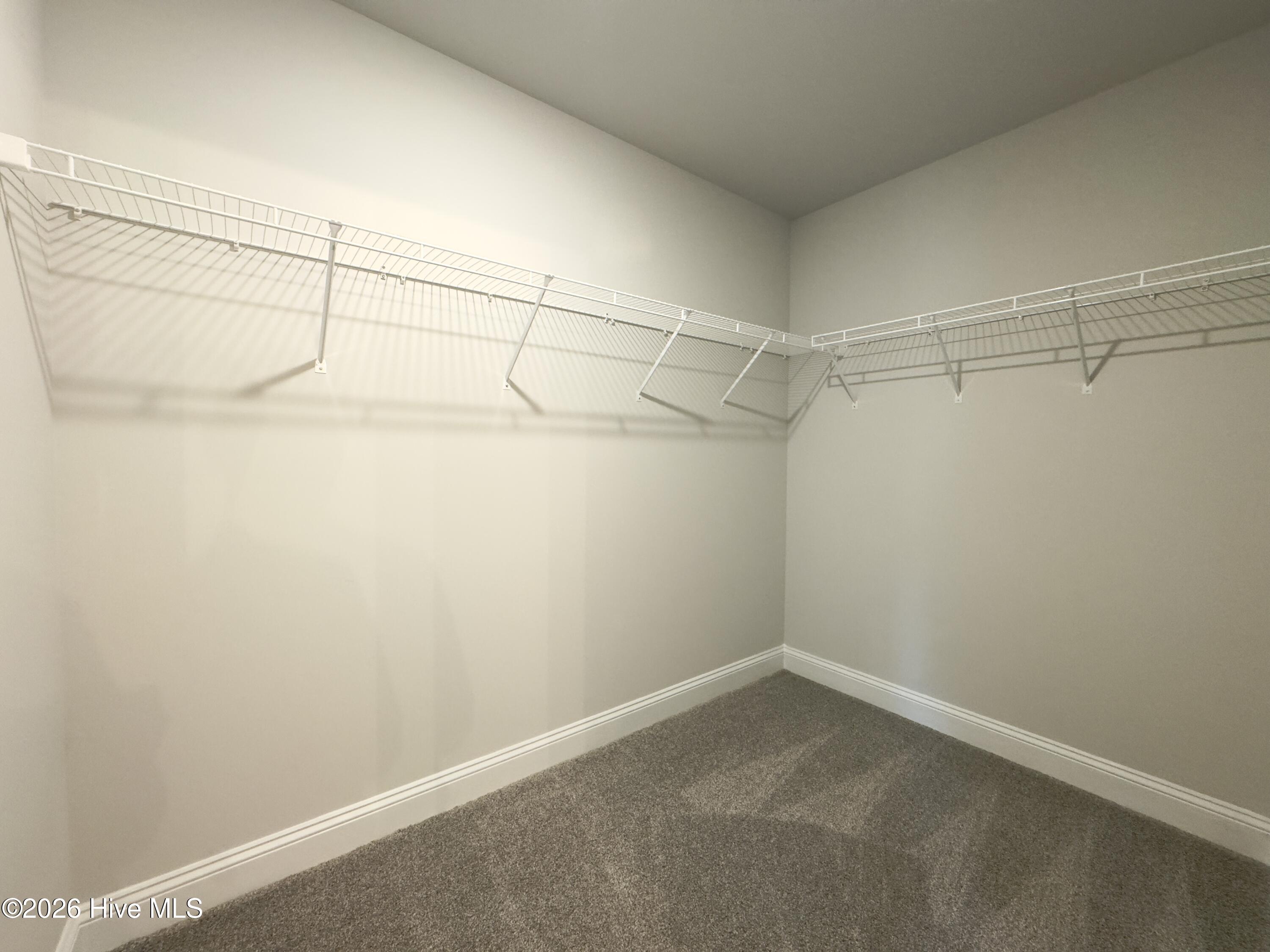 100563349 | Photo 19