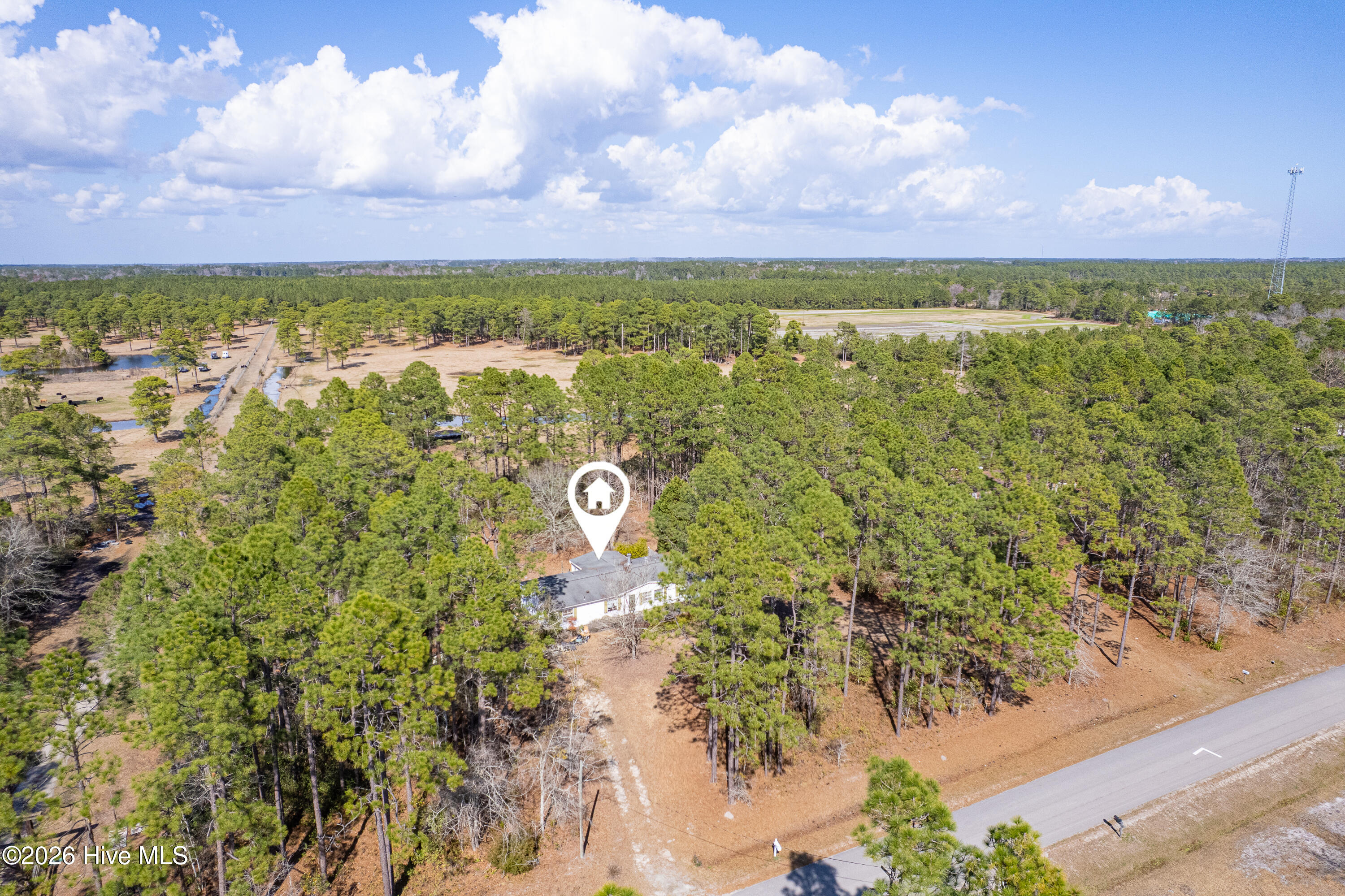 100559404 | Photo 29