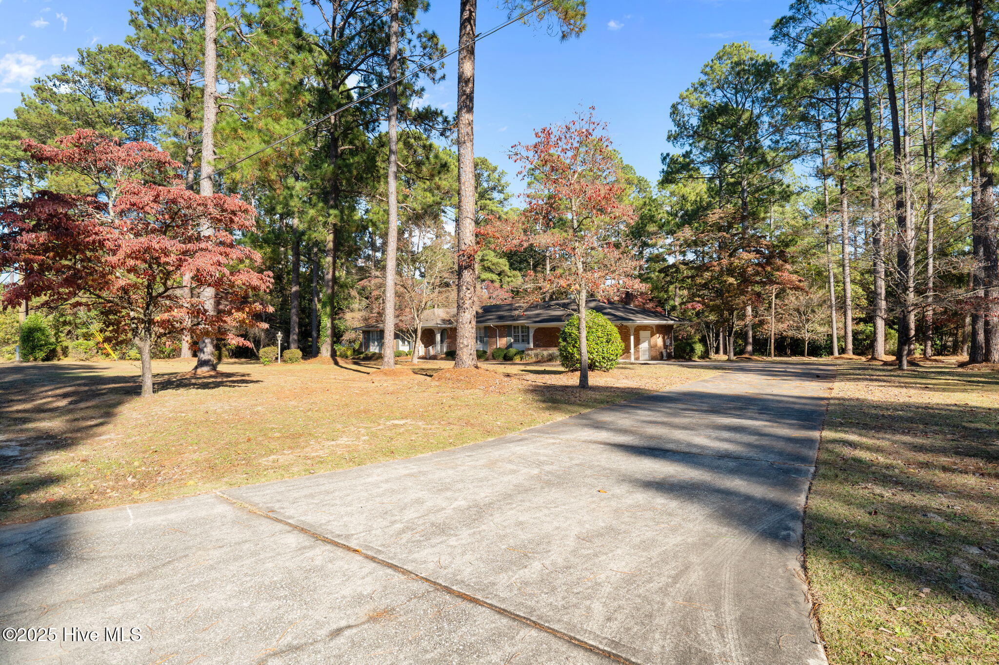 45-web-or-mls-DSC06902