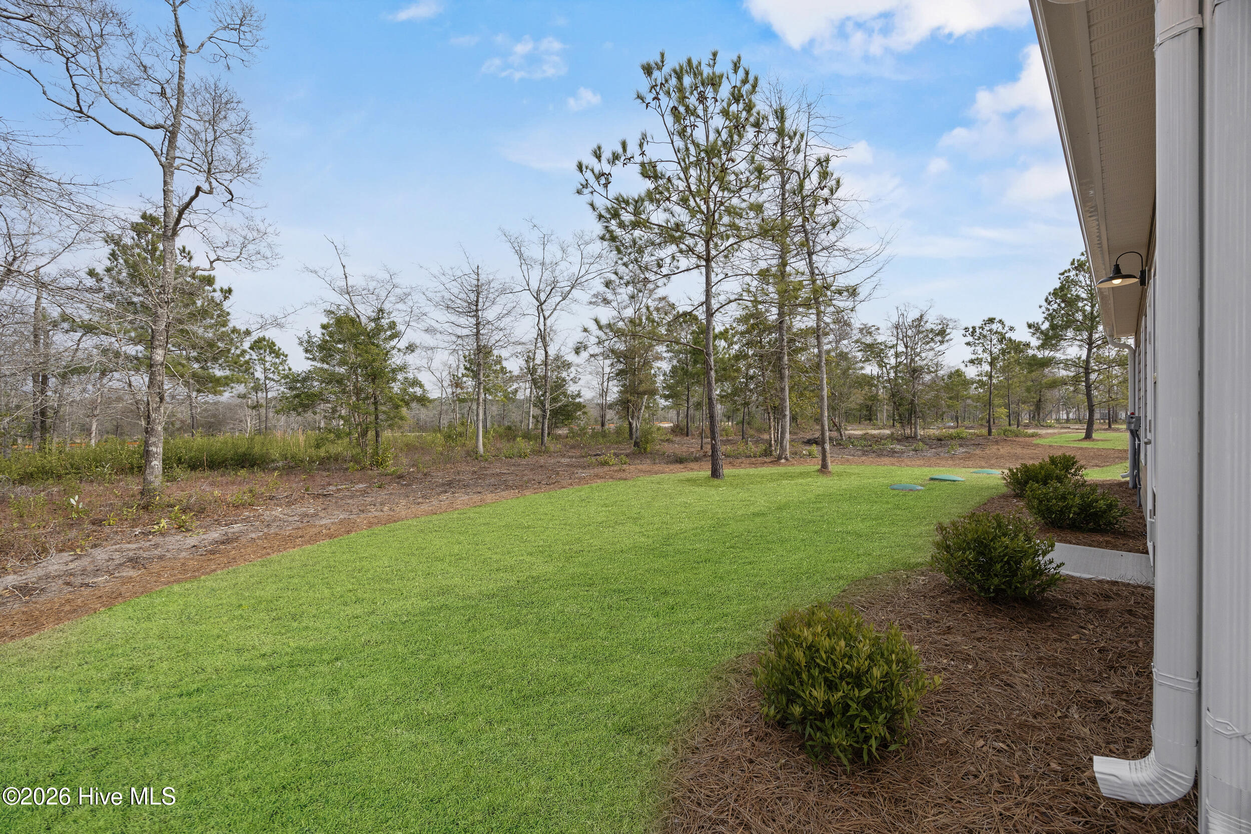 100553228 | Photo 34