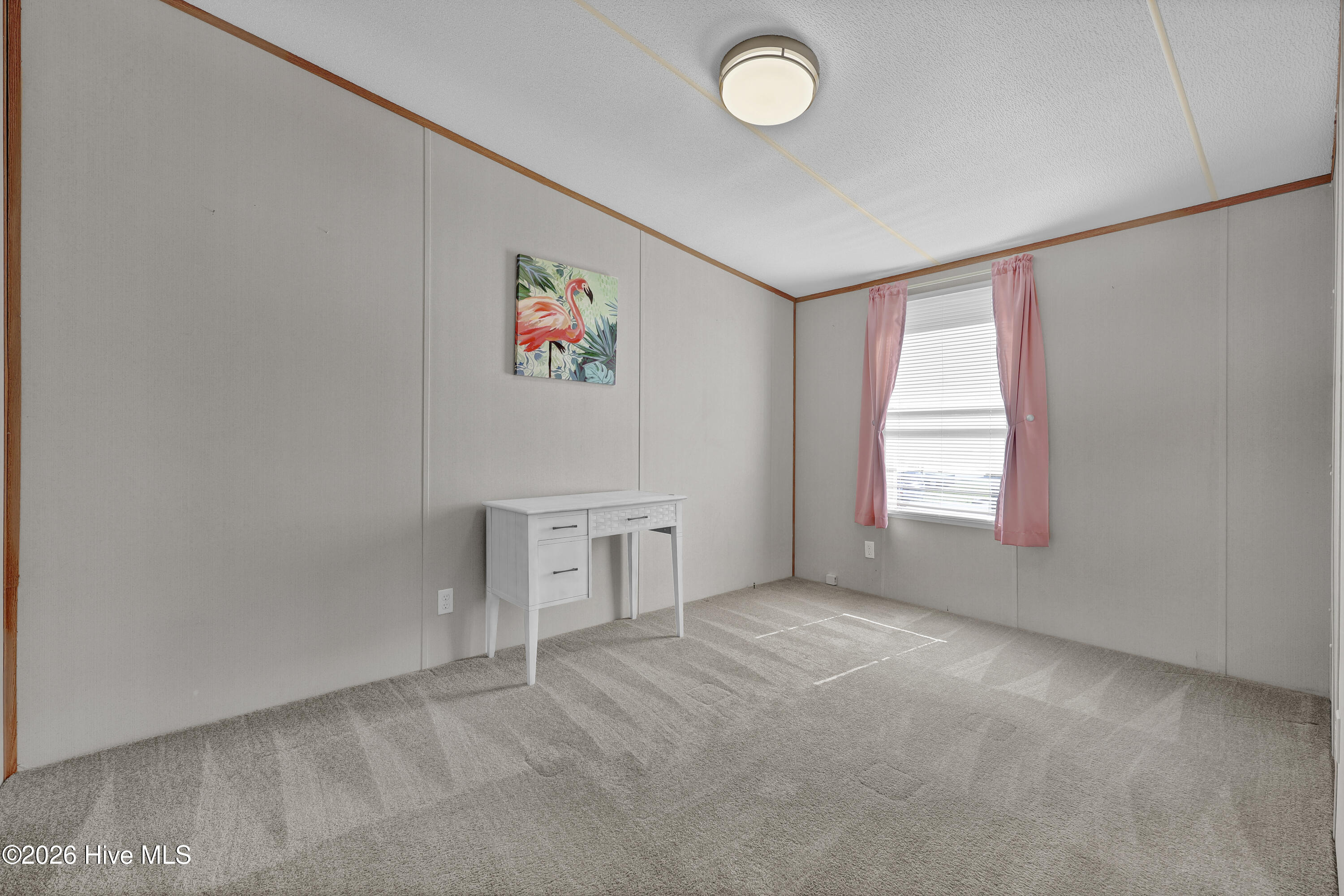 100564318 | Photo 24