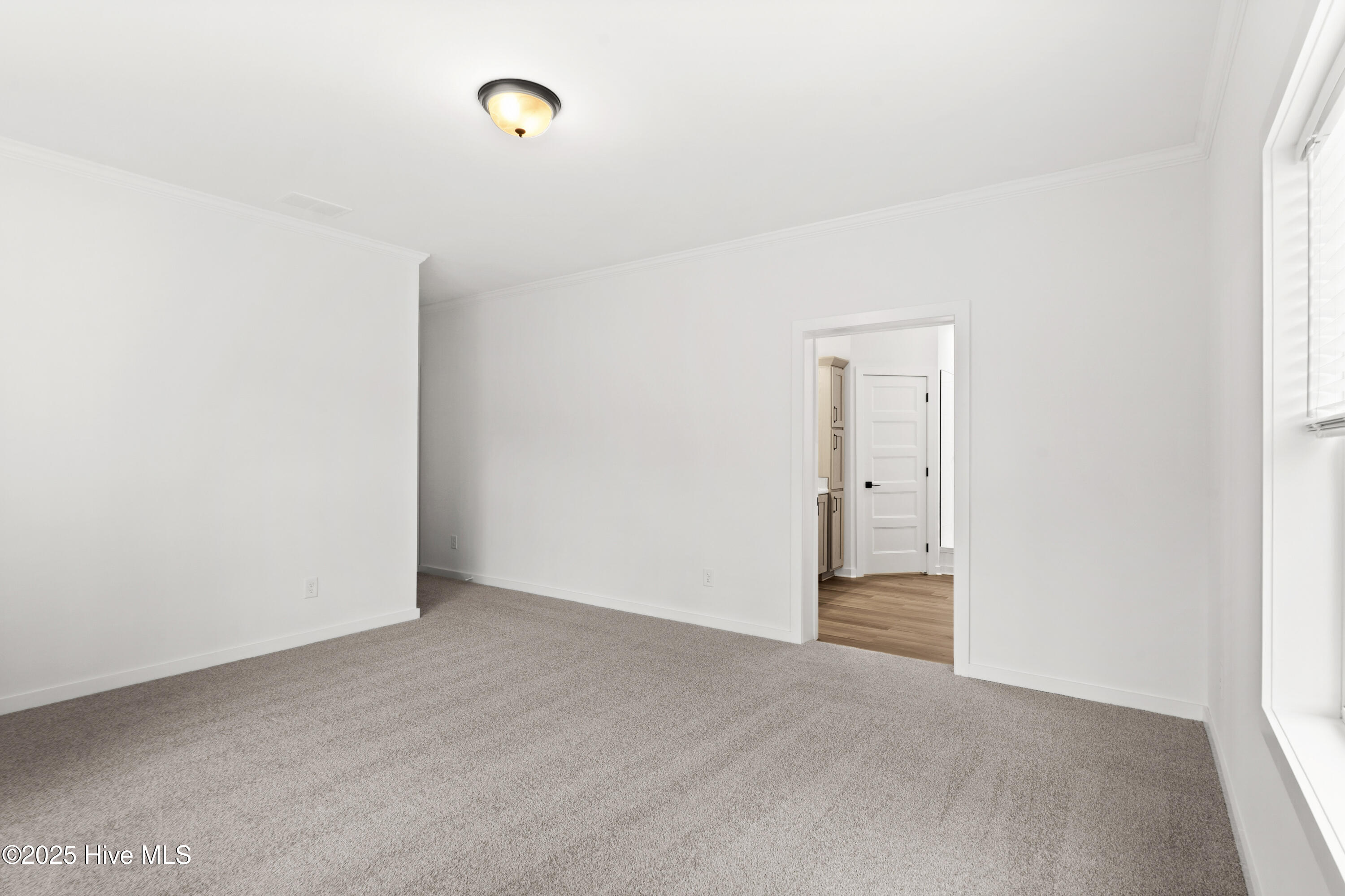 100546141 | Photo 16