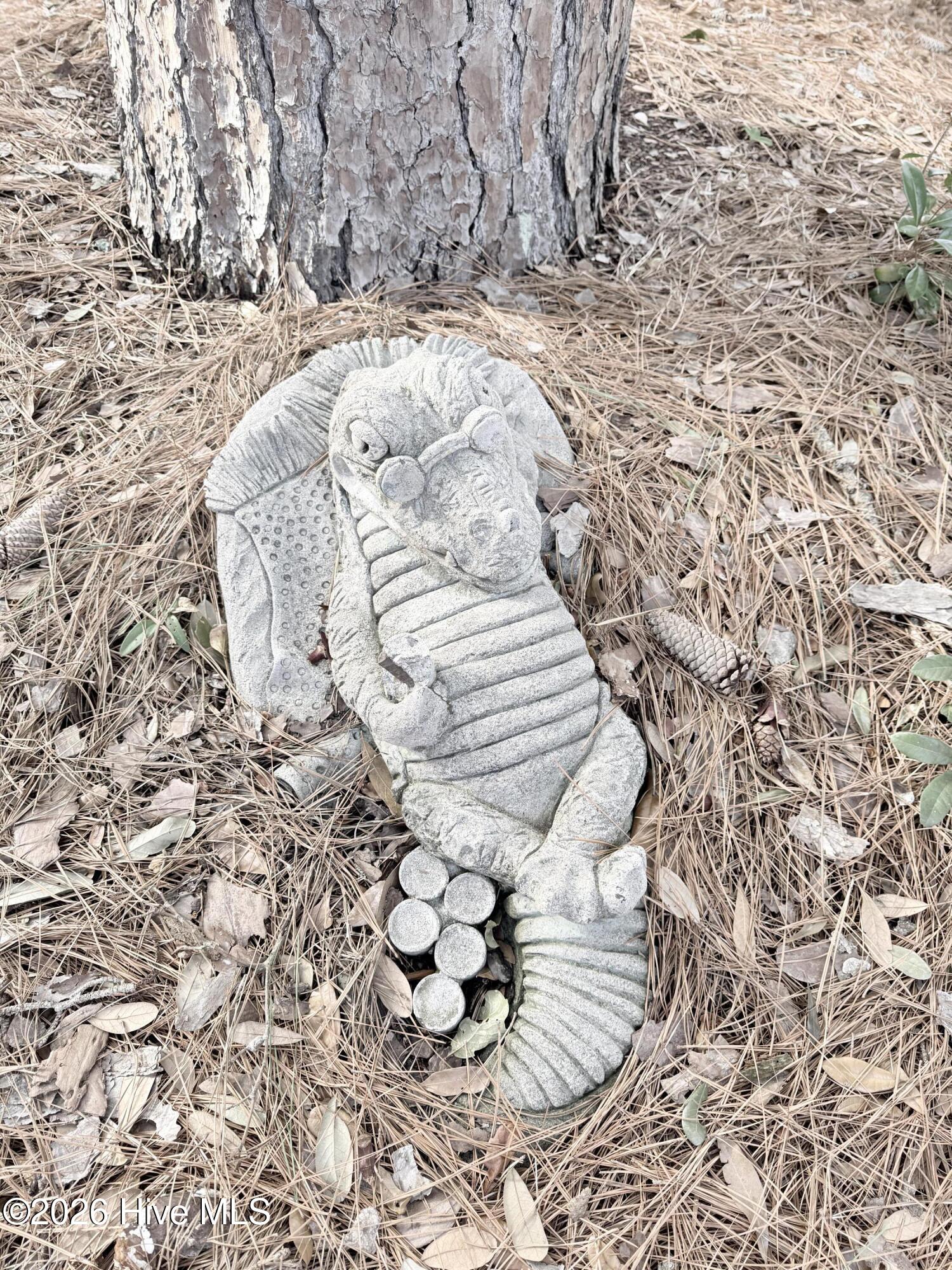 100554968 | Photo 44