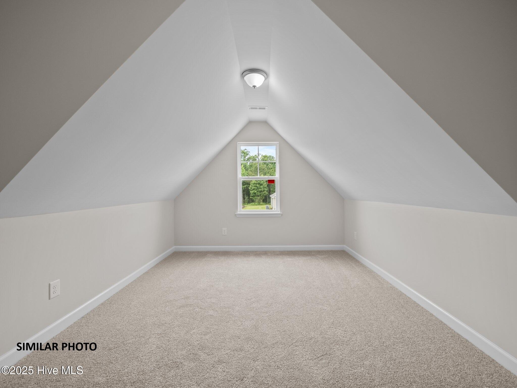 100519589 | Photo 28