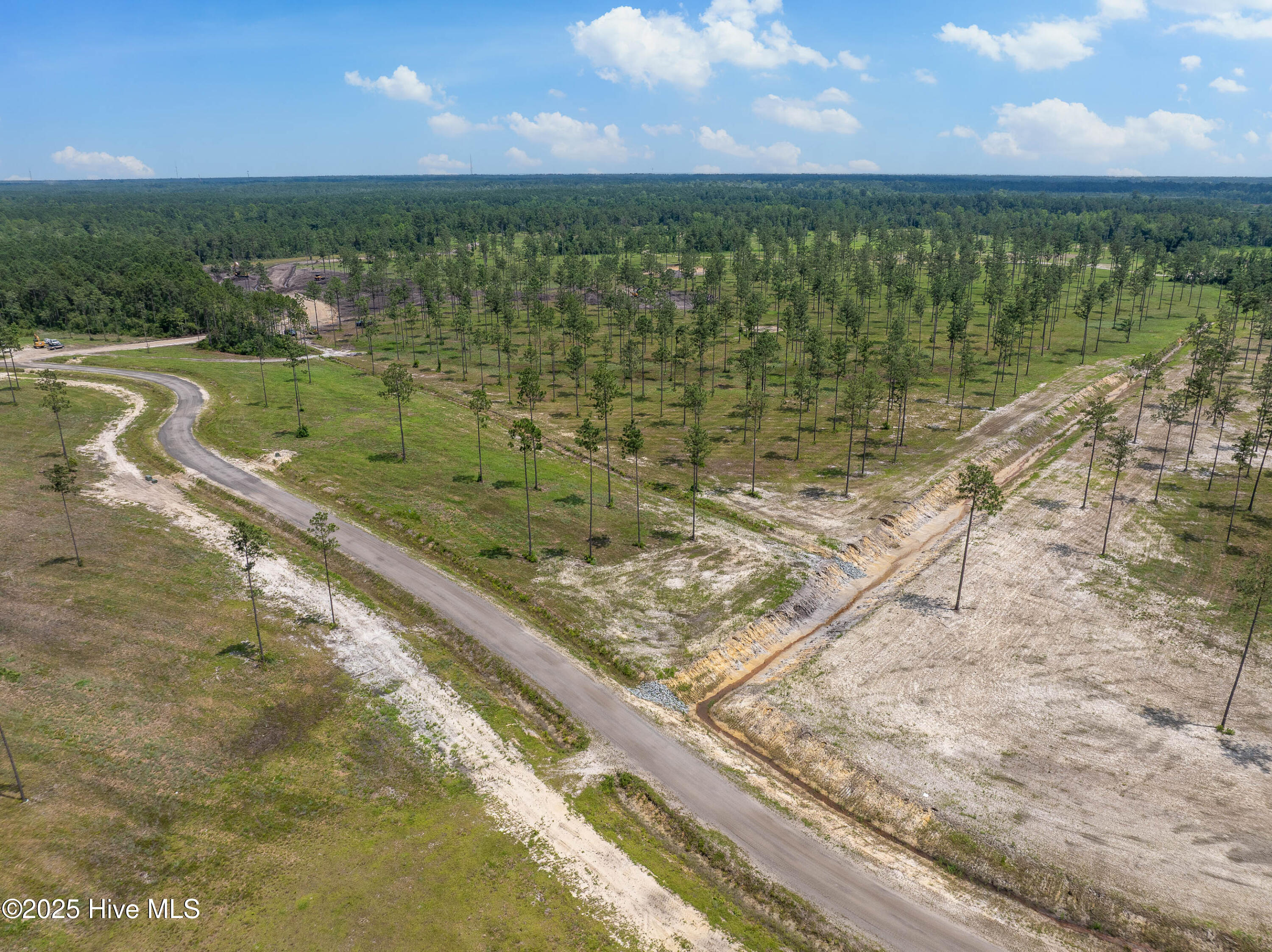 100520208 | Photo 14