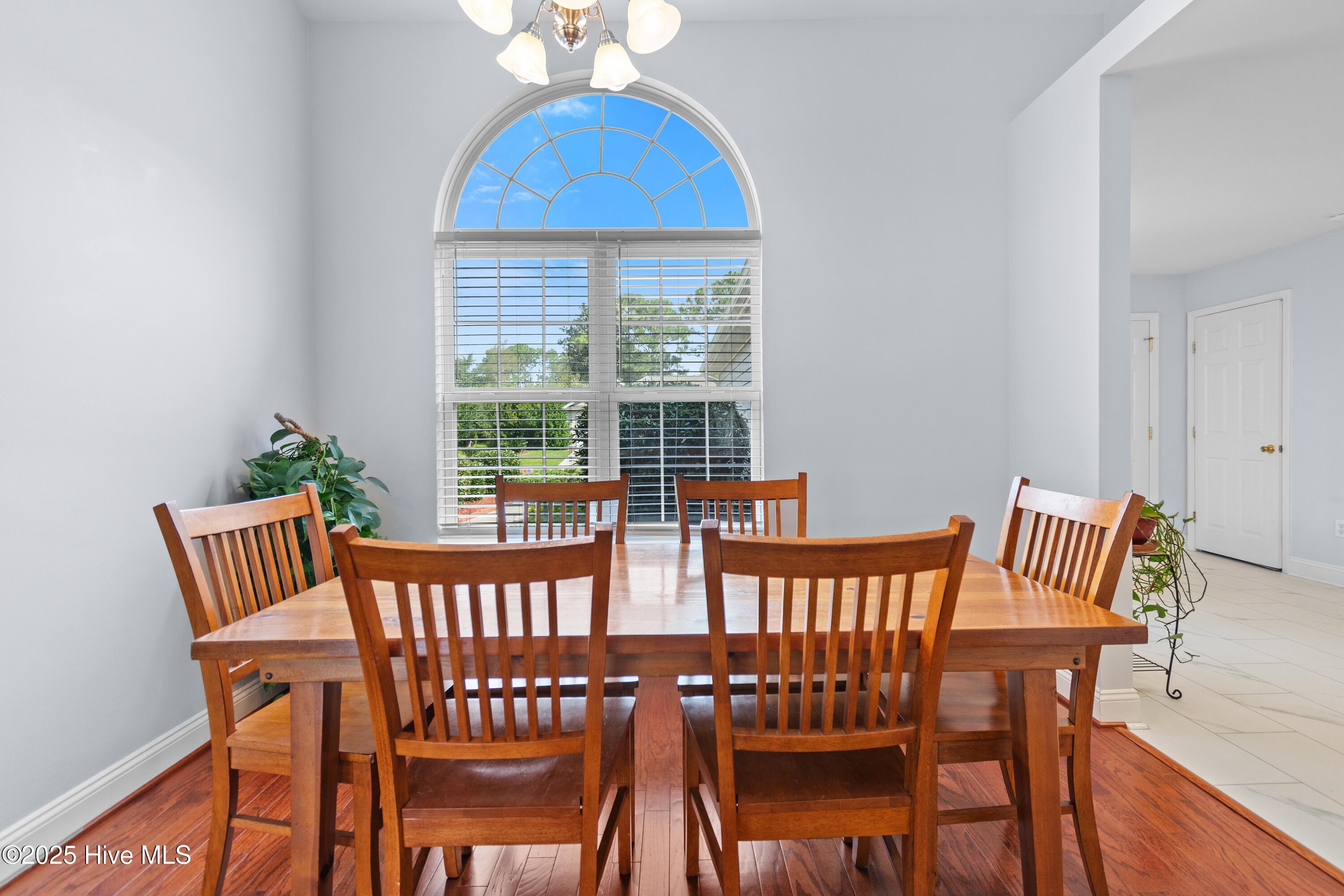 100526864 | Photo 11