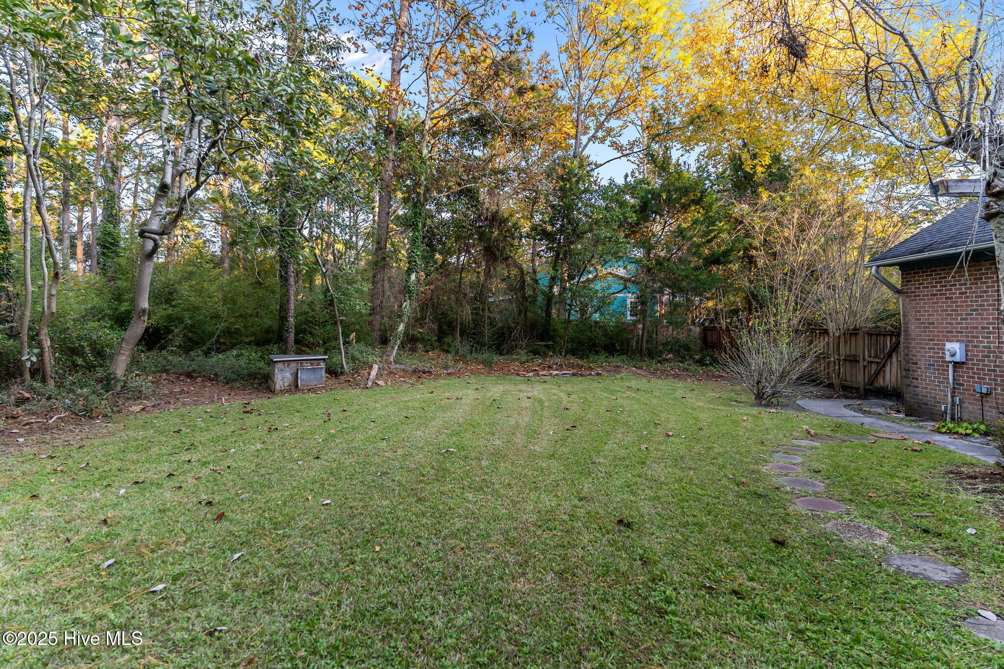 100540294 | Photo 43