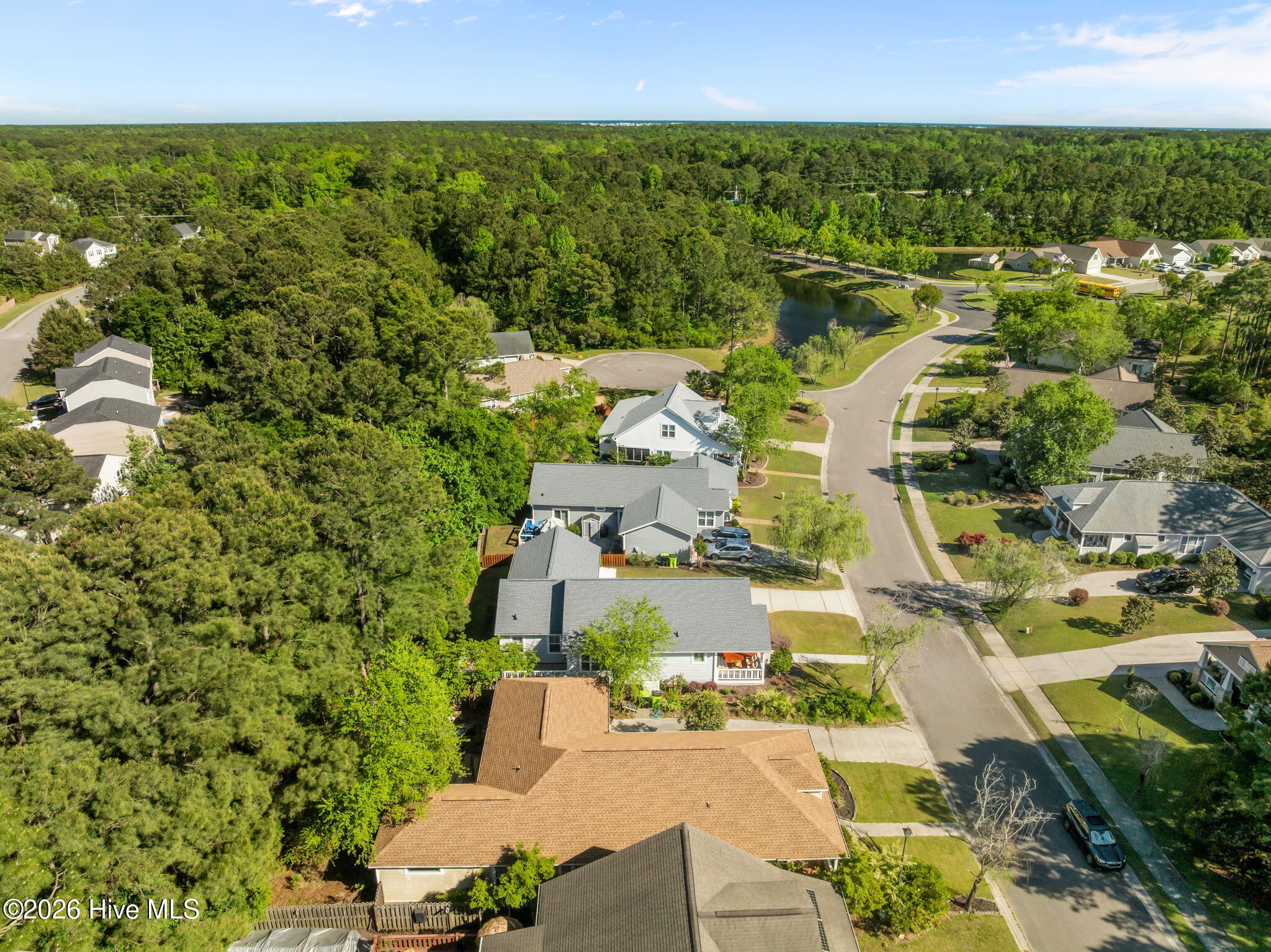 100569497 | Photo 45