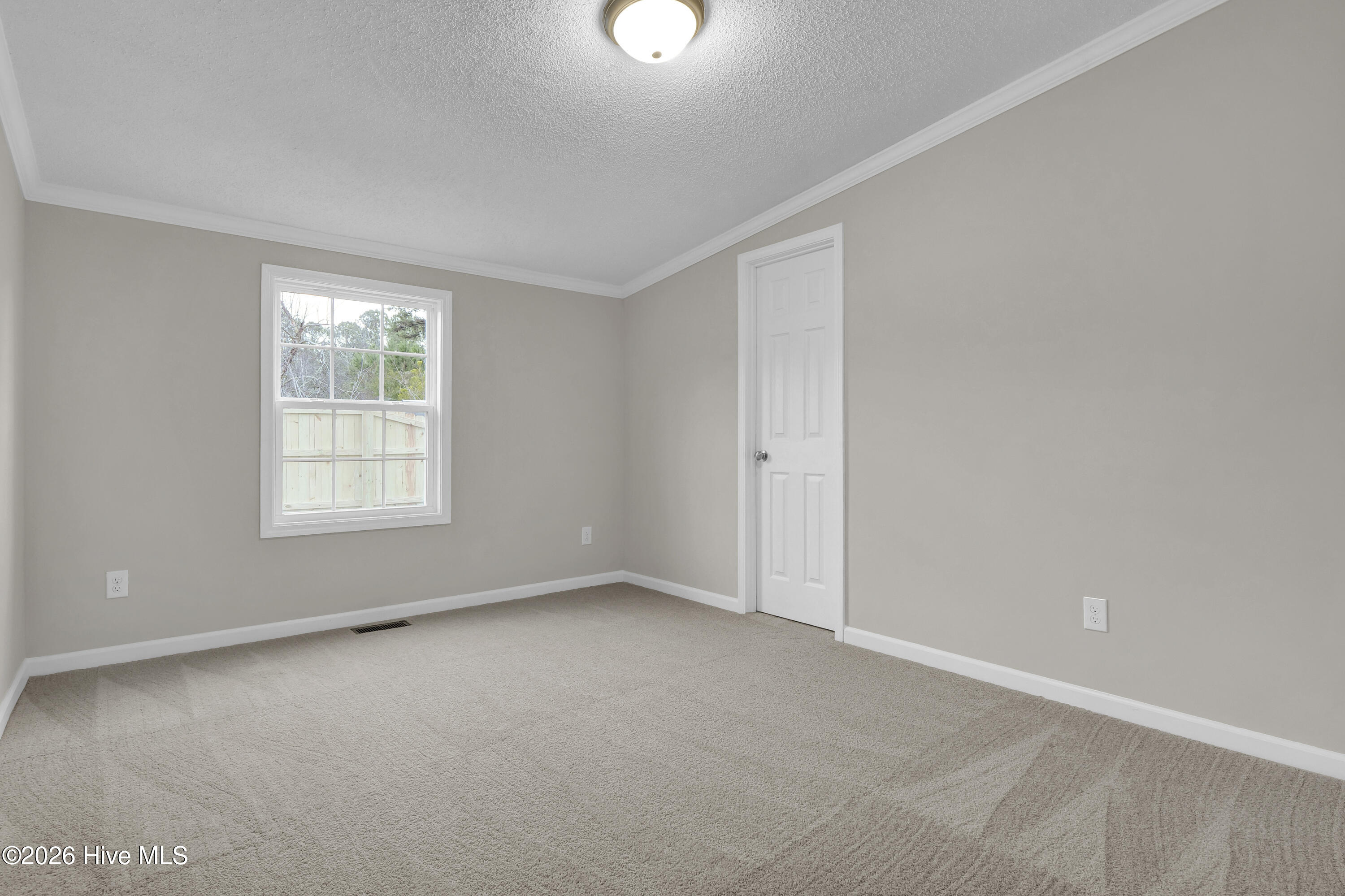 100550889 | Photo 23