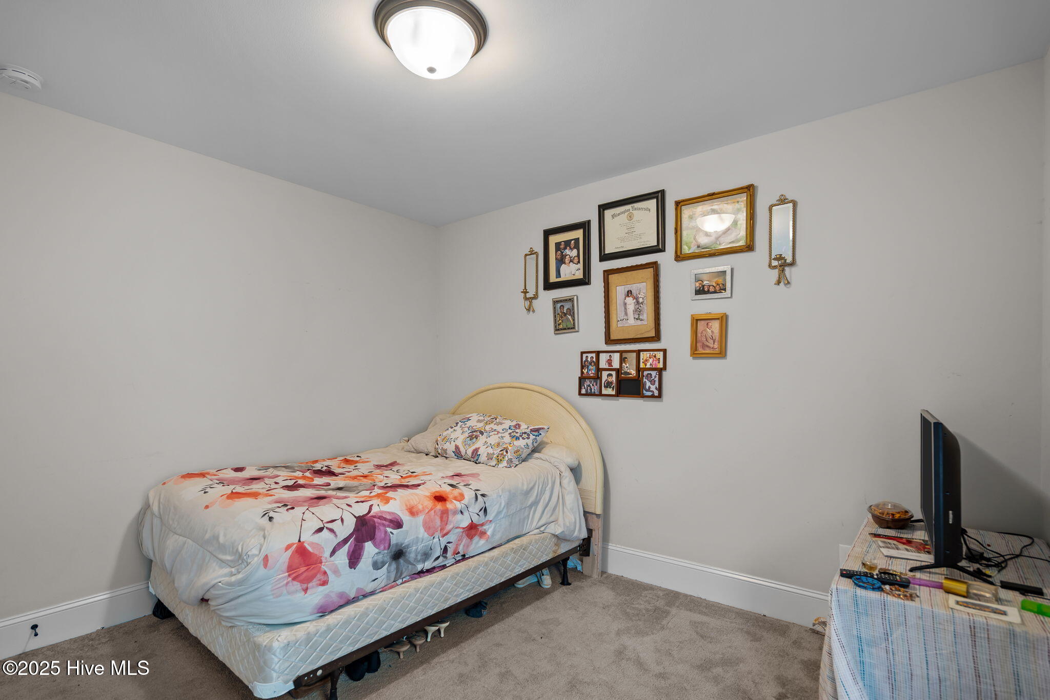 100539451 | Photo 28