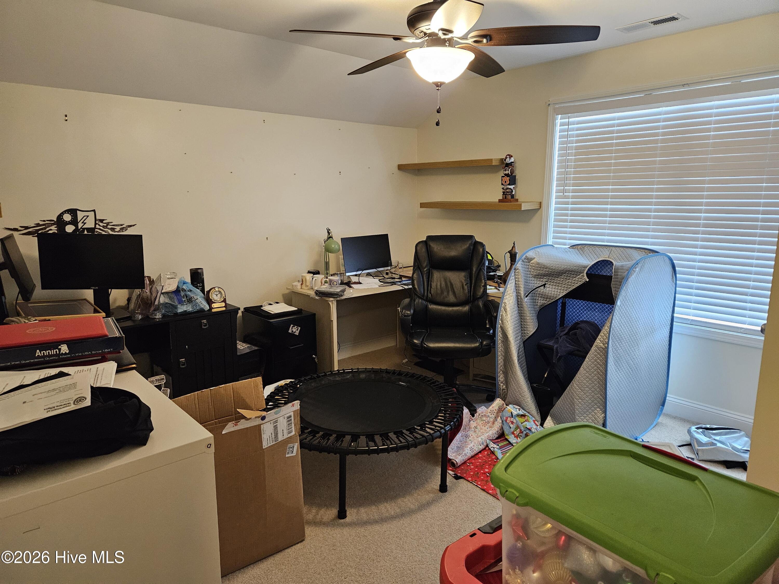 100568261 | Photo 29