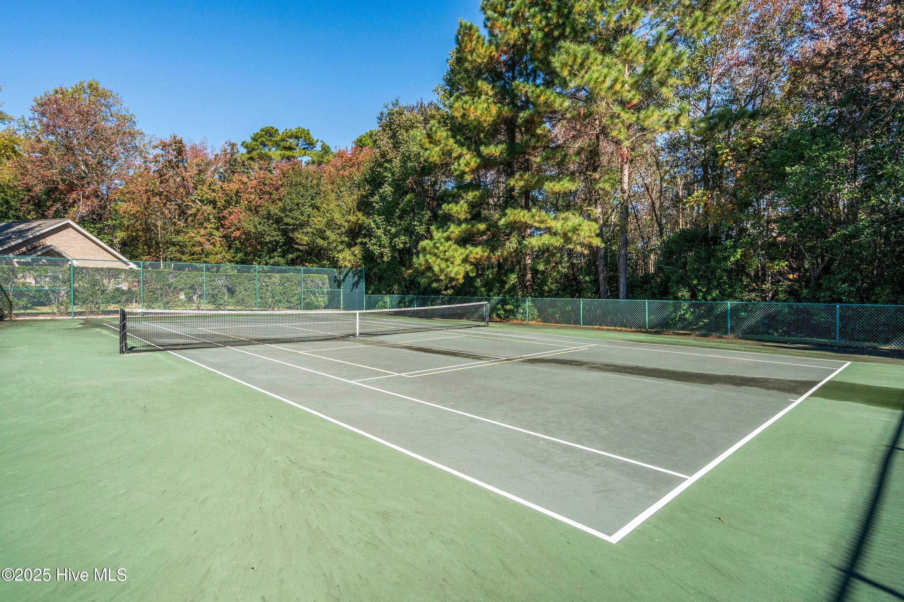 100540671 | Photo 52