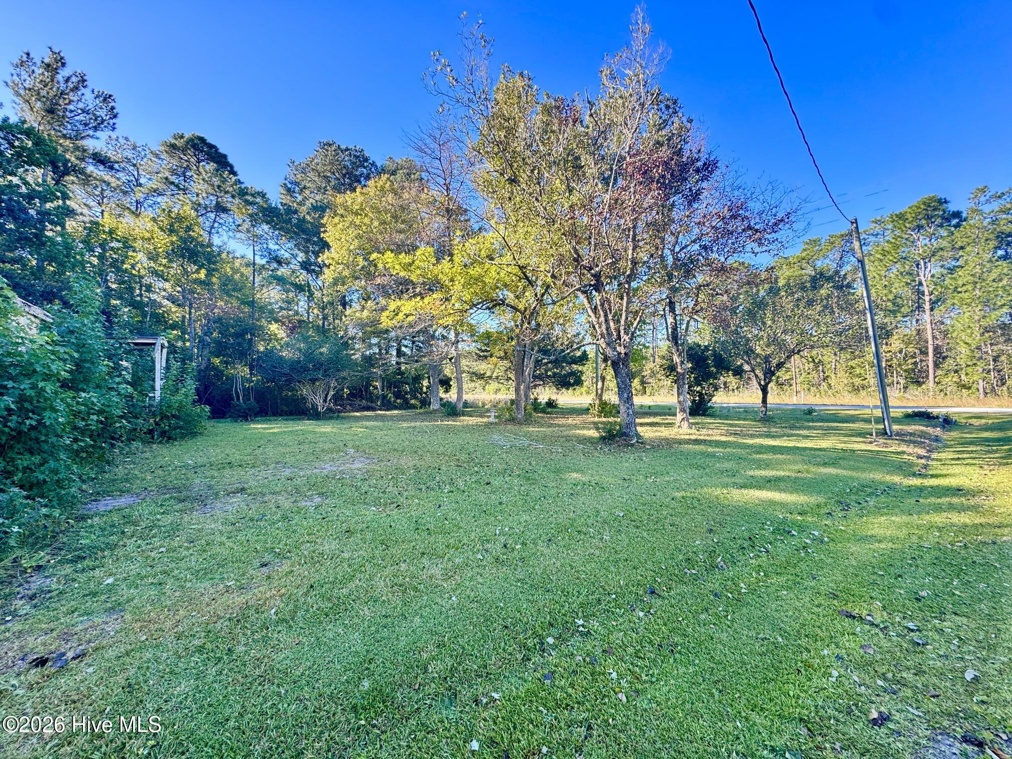 100611959 | Photo 2