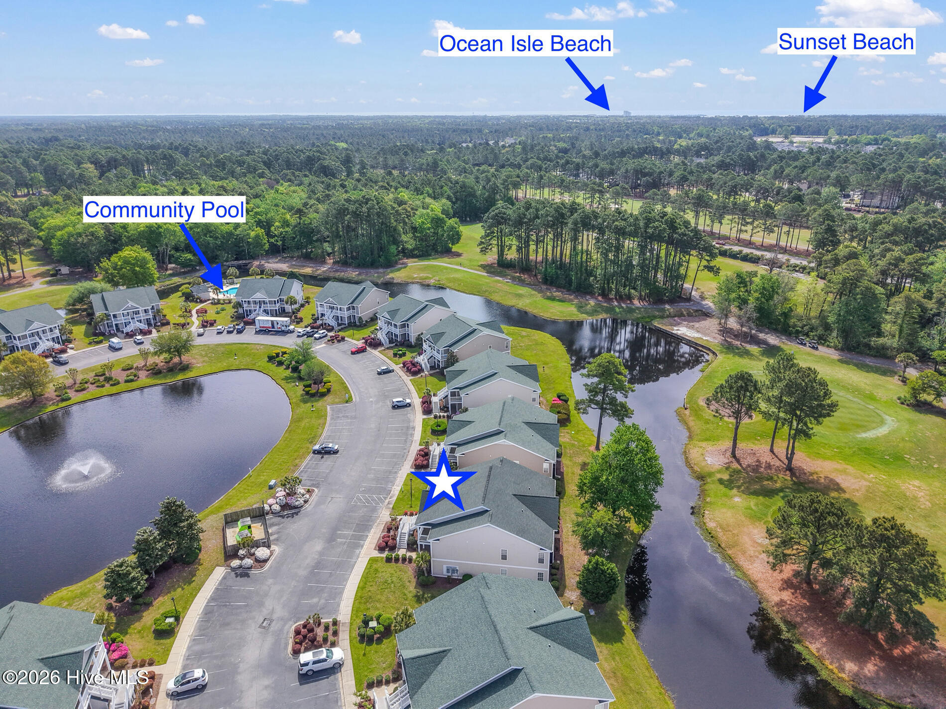 100566917 | Photo 37