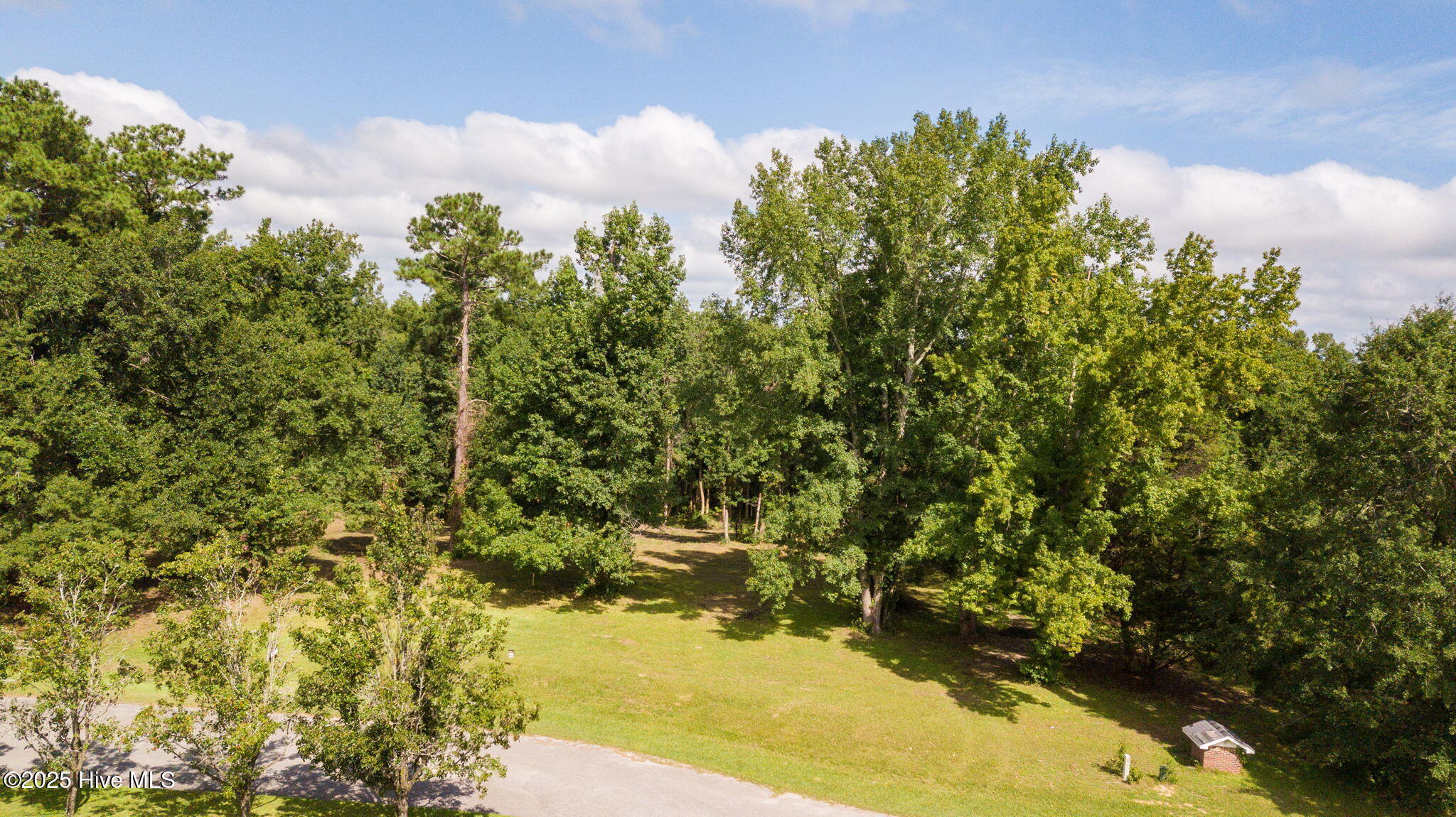 100524642 | Photo 14