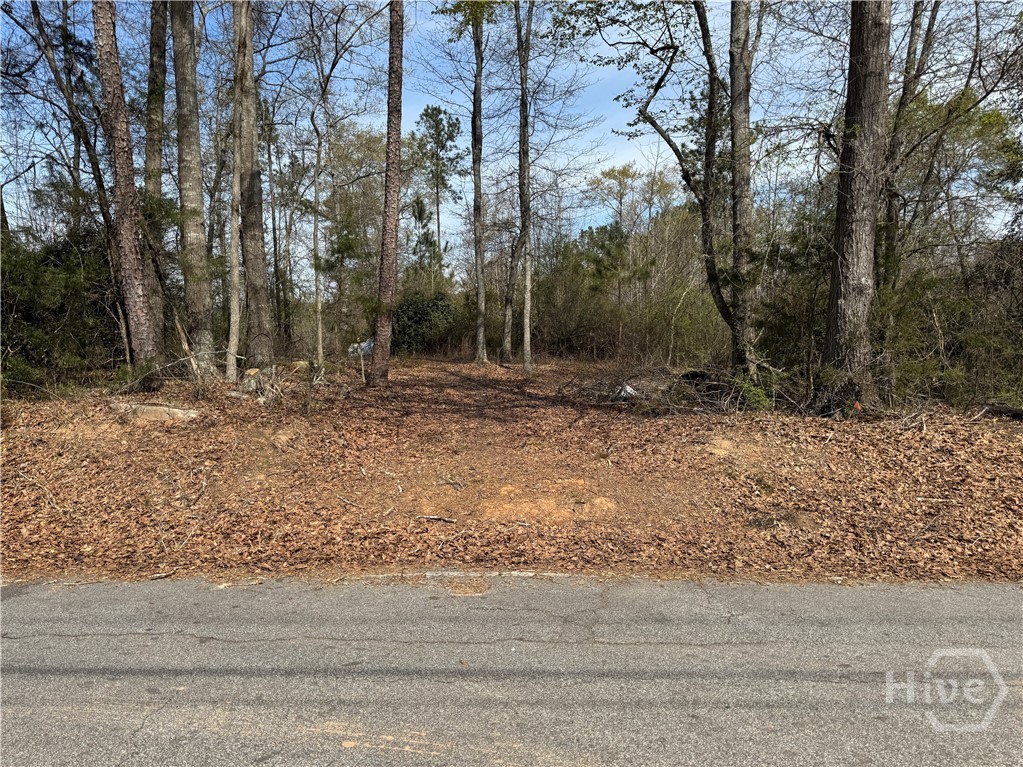 738 Old Mineral Springs Road, Elberton, GA, 30635
