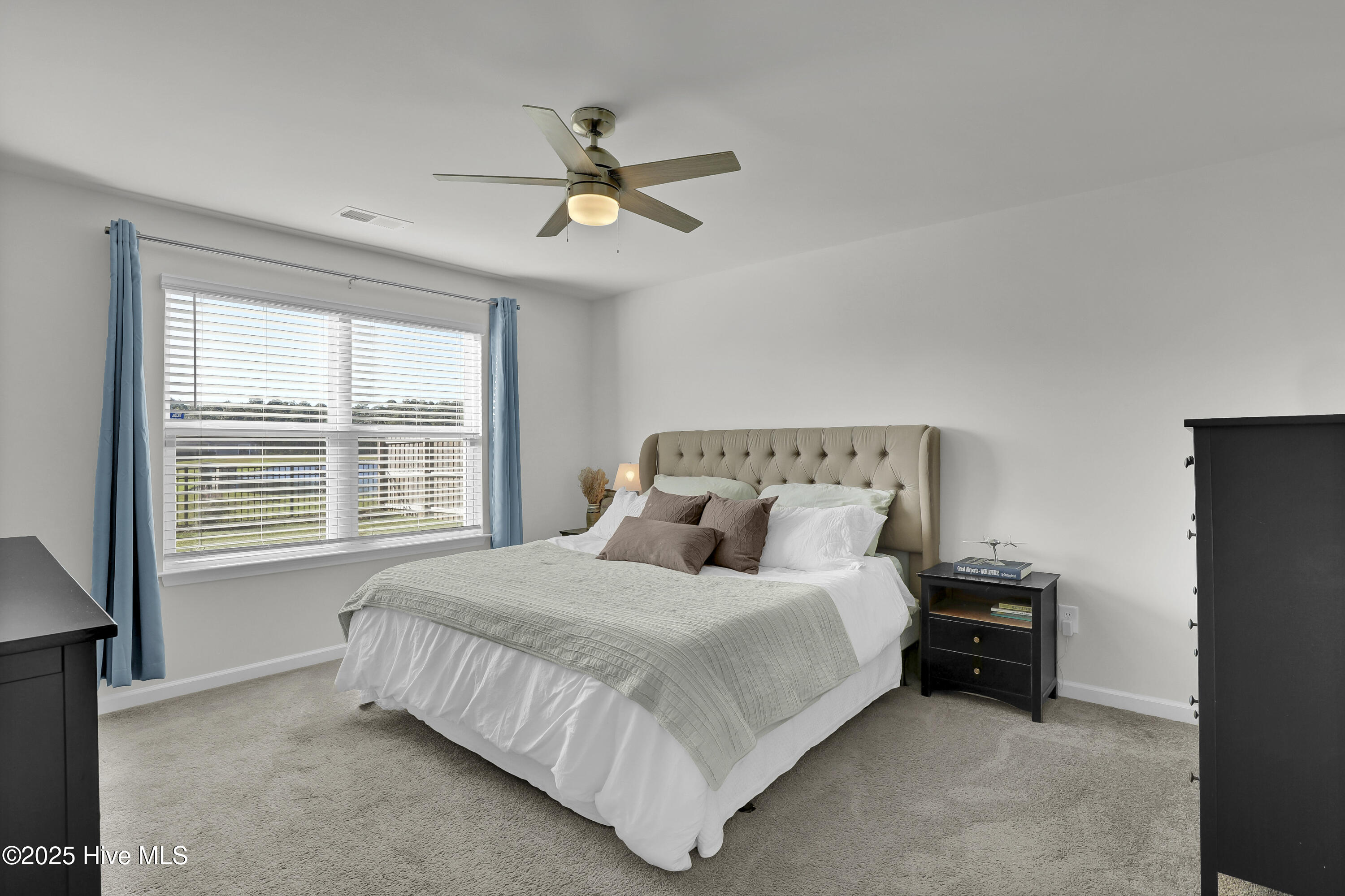 100536874 | Photo 11