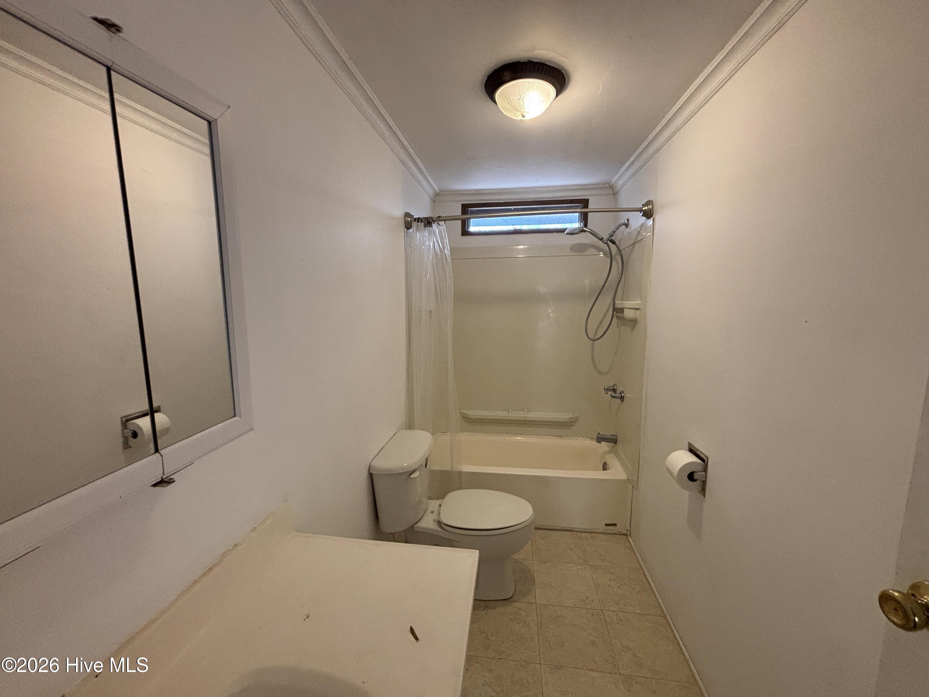 100562125 | Photo 11