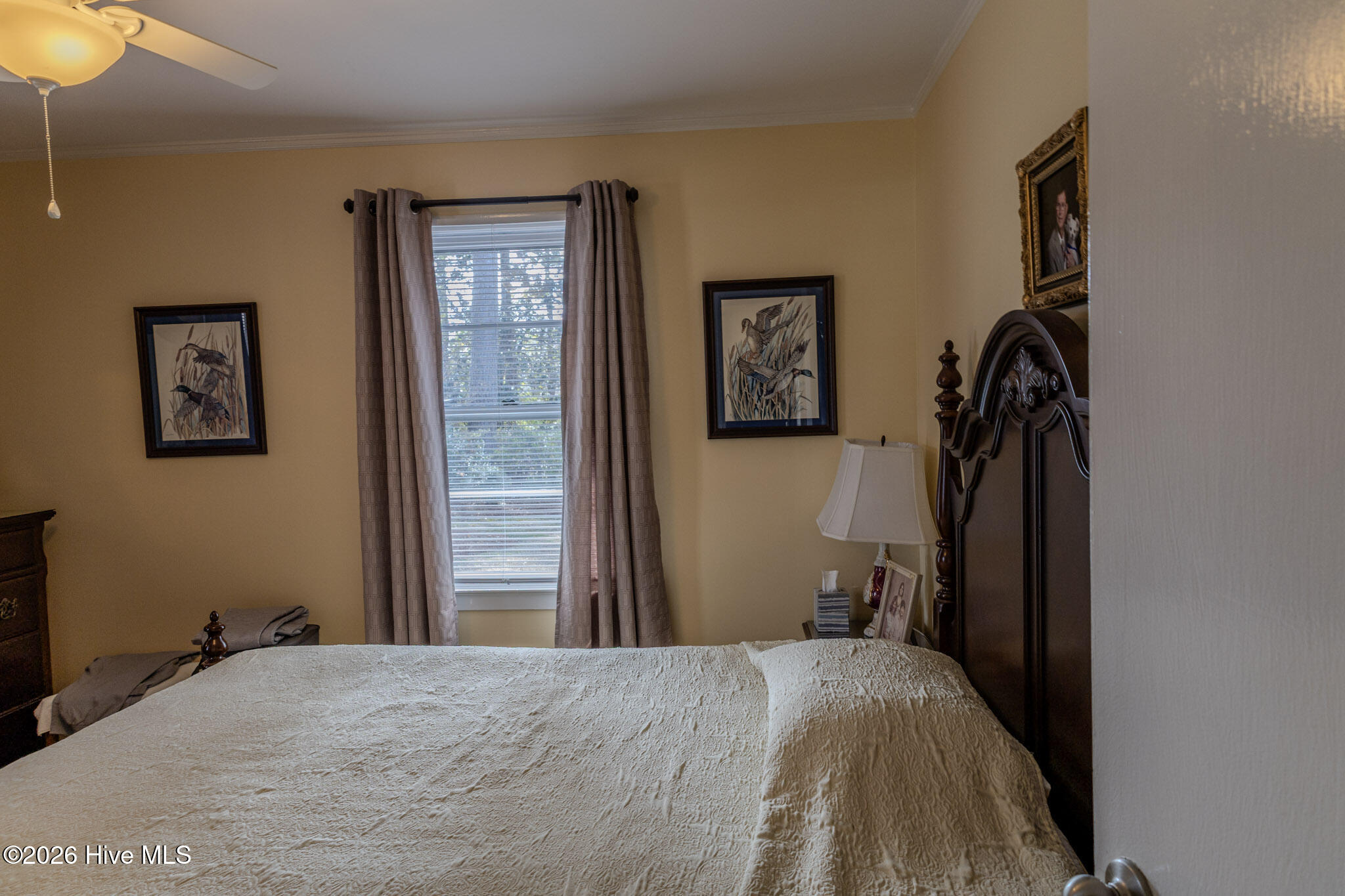 100561146 | Photo 14